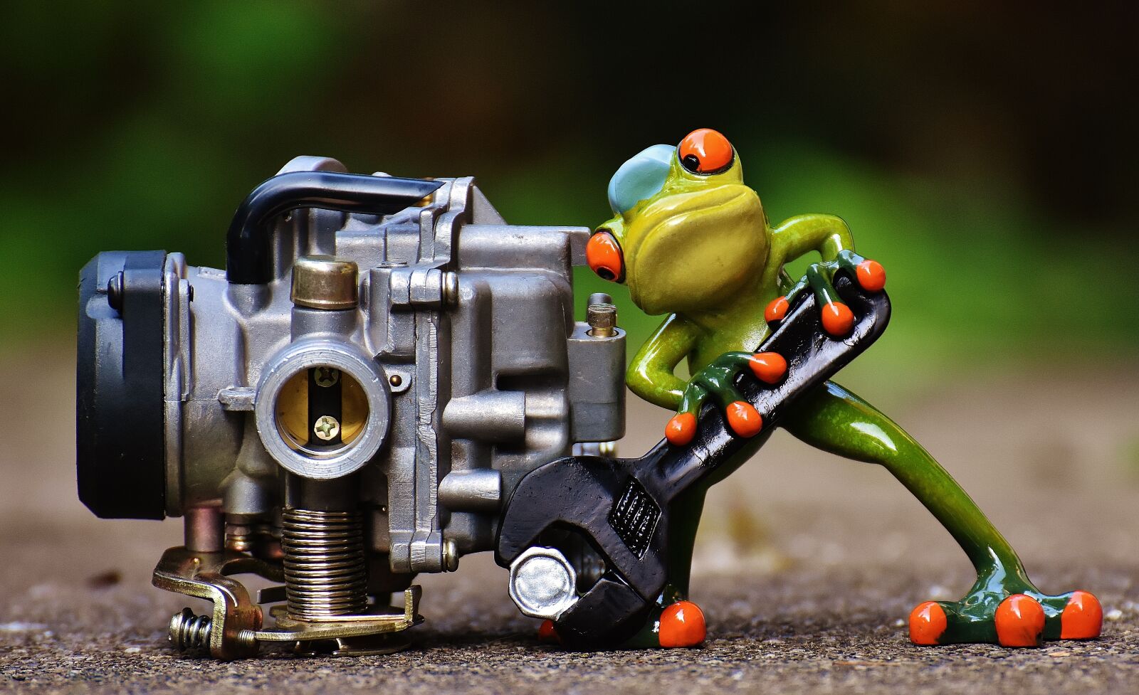 Nikon D7200 sample photo. Frog, mechanic, screwdrivers photography