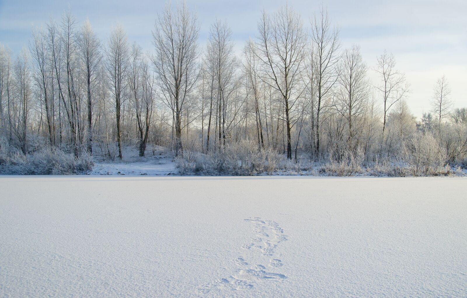 Sony Alpha DSLR-A850 sample photo. Lake, travel, siberia photography
