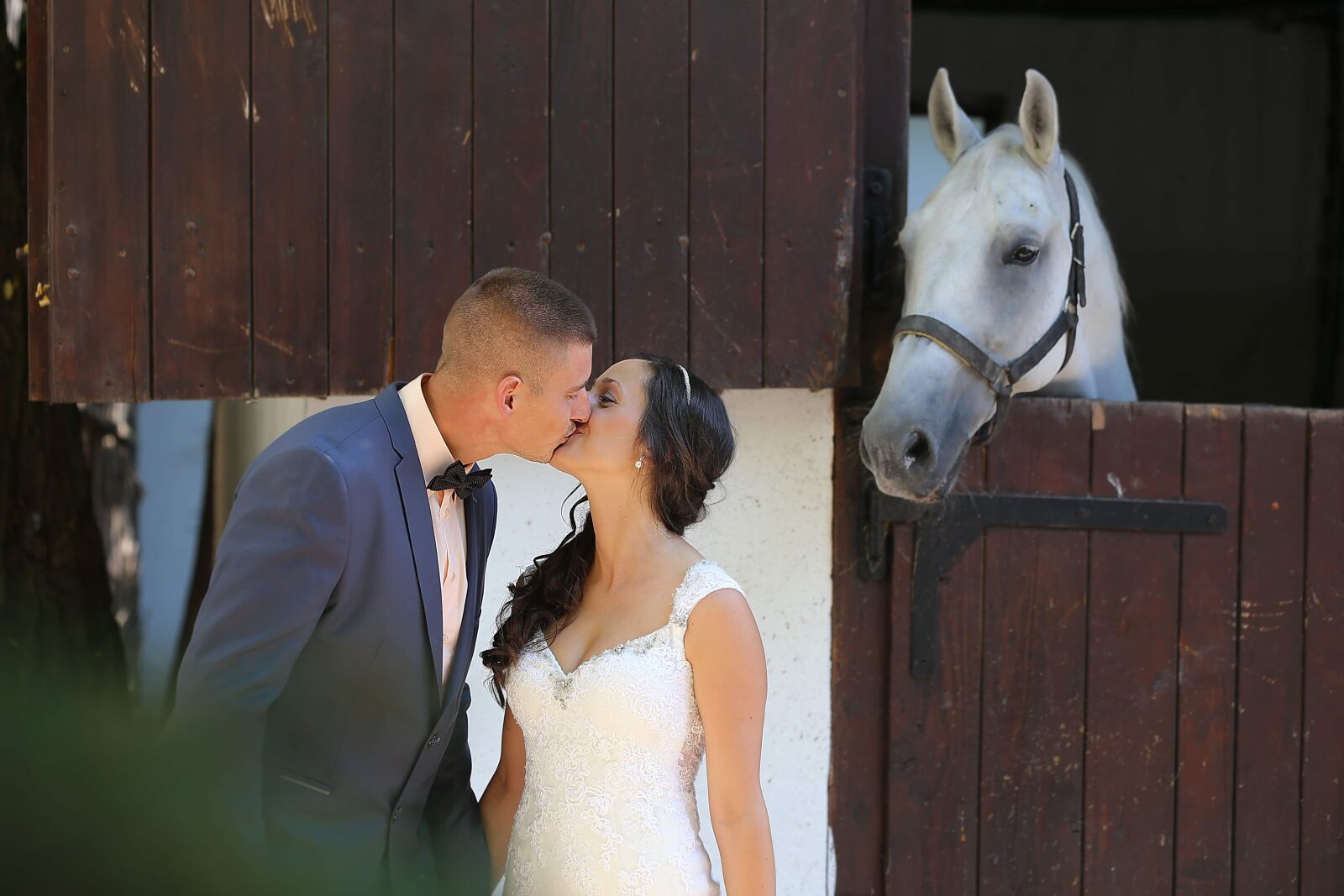 Canon EOS 6D + Canon EF 70-200mm F2.8L IS II USM sample photo. Barn, horse, bride, groom photography