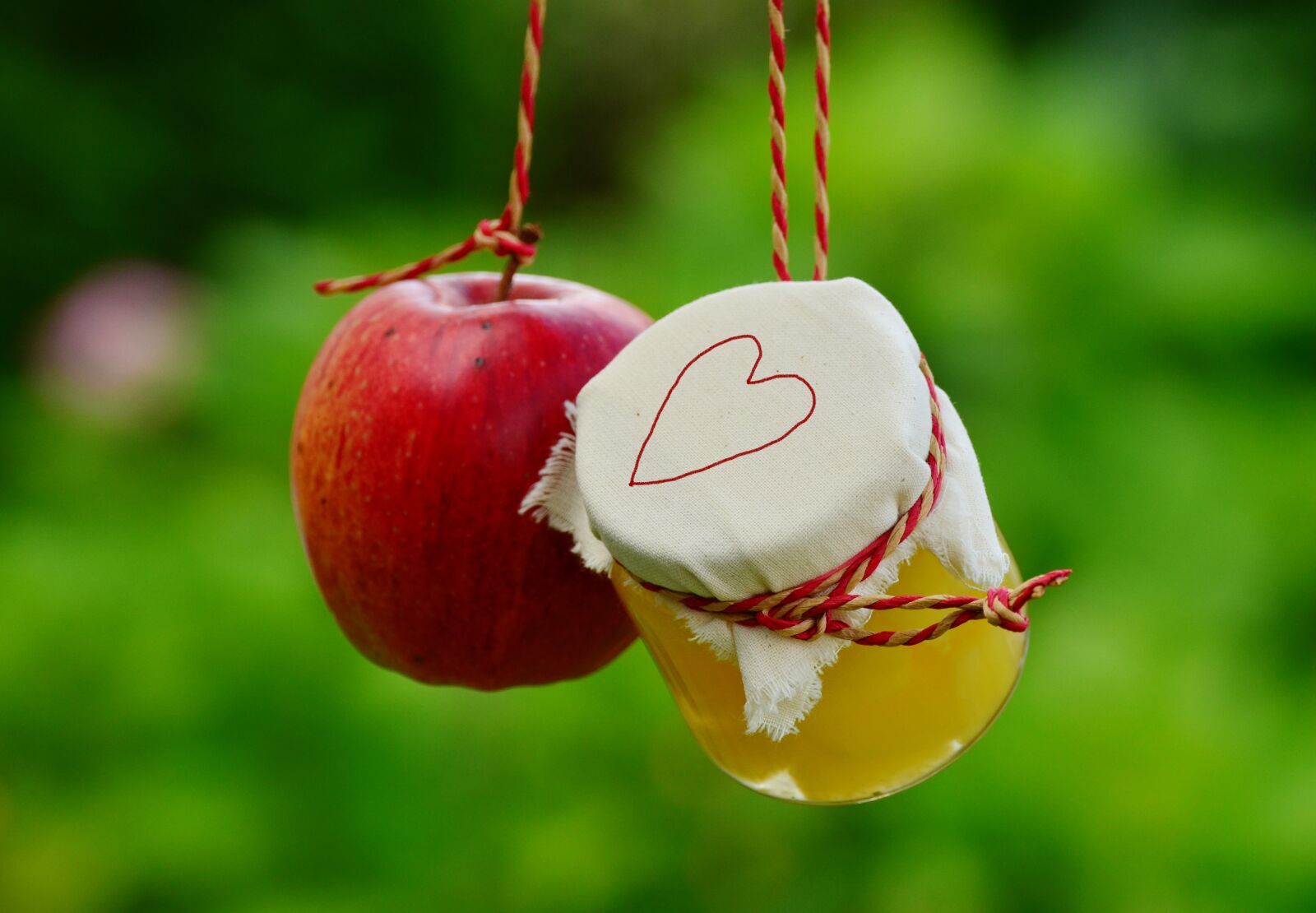 Nikon D5100 sample photo. Apple, apple compote, jar photography