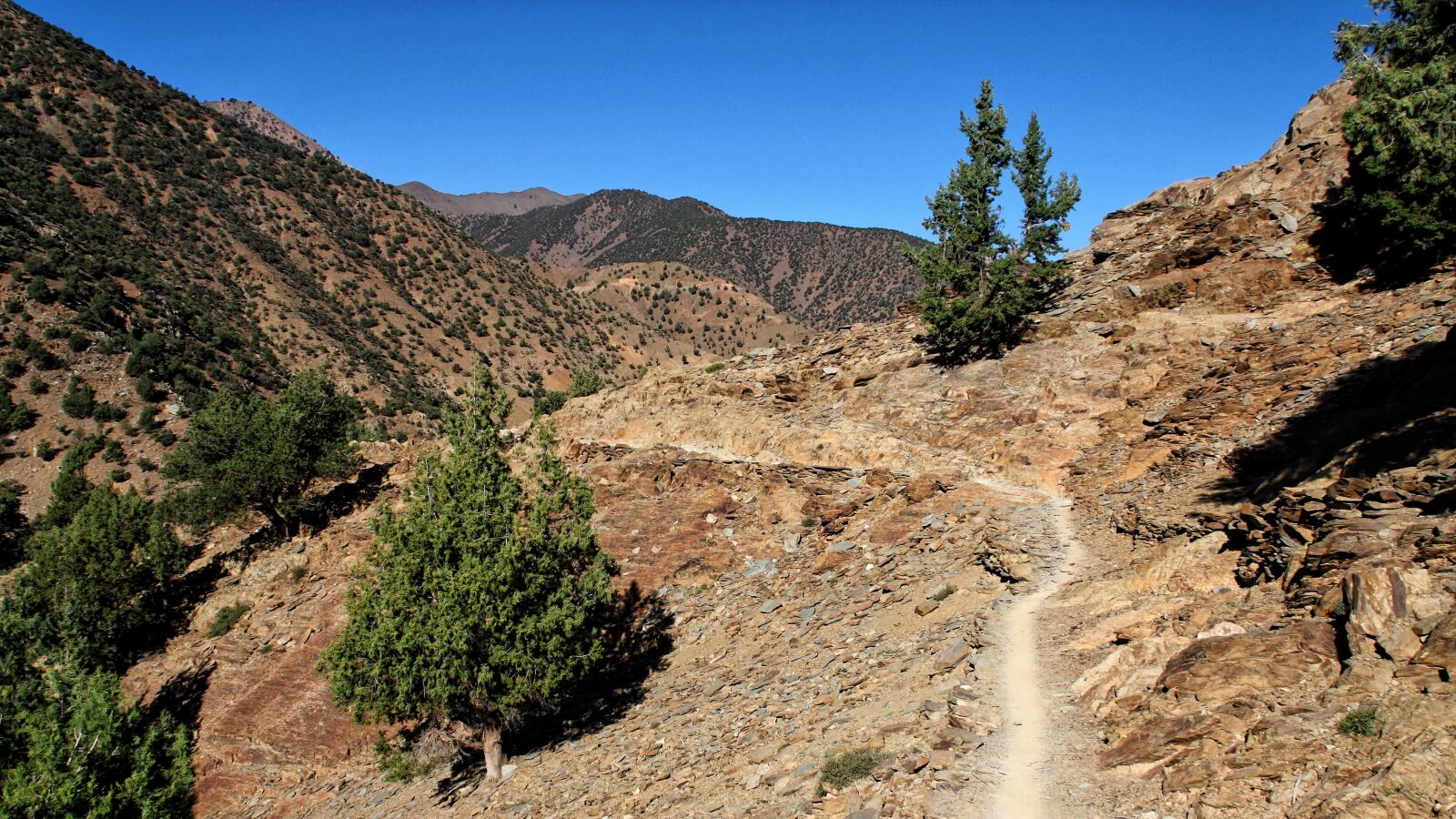 Canon EOS 450D (EOS Rebel XSi / EOS Kiss X2) sample photo. Mountains, atlas, morocco photography