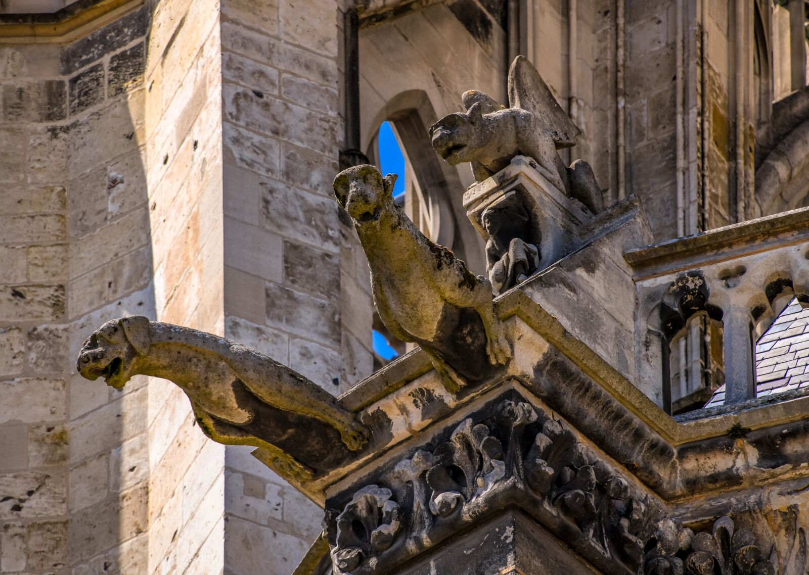 Tamron 28-300mm F3.5-6.3 Di VC PZD sample photo. Dragons, gargoyle, mythical creatures photography