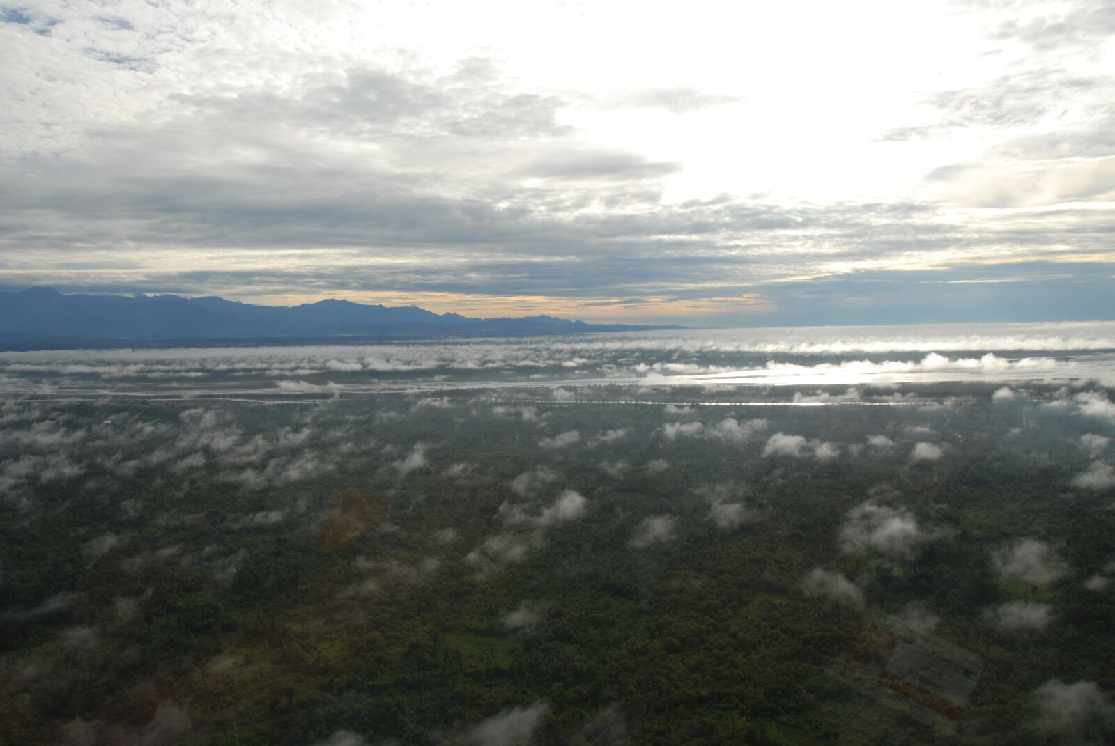 Nikon D200 sample photo. Horizon, jungle, nature photography