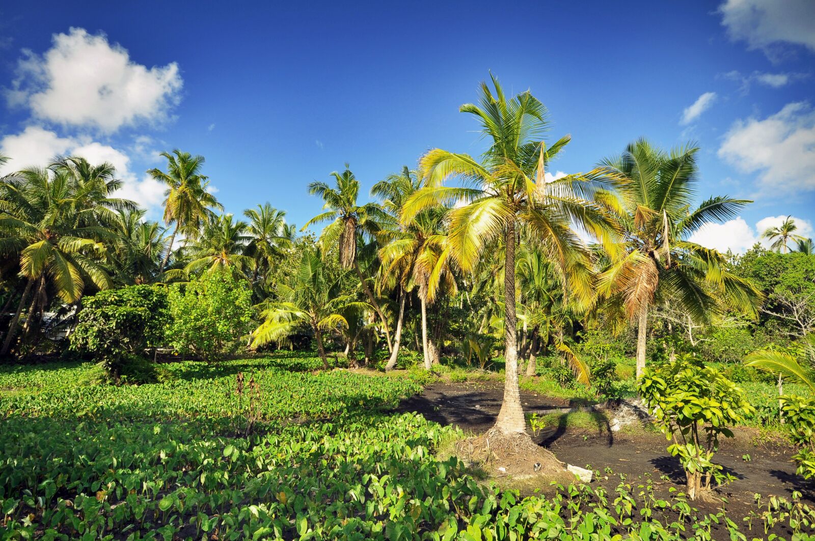 Nikon D90 sample photo. Atoll, beach, couple photography