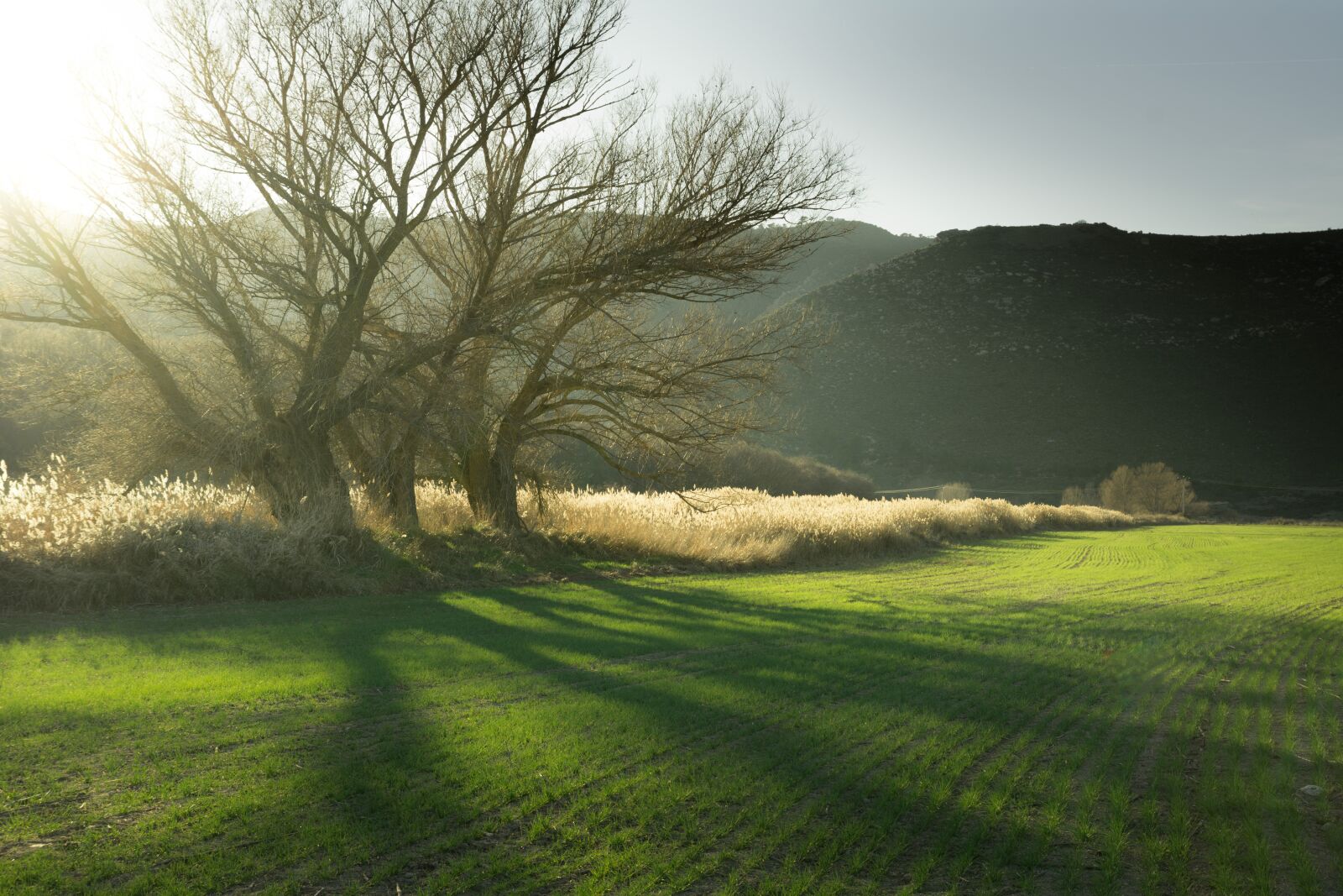 Nikon D7200 sample photo. Landscape, alcarria, basin photography