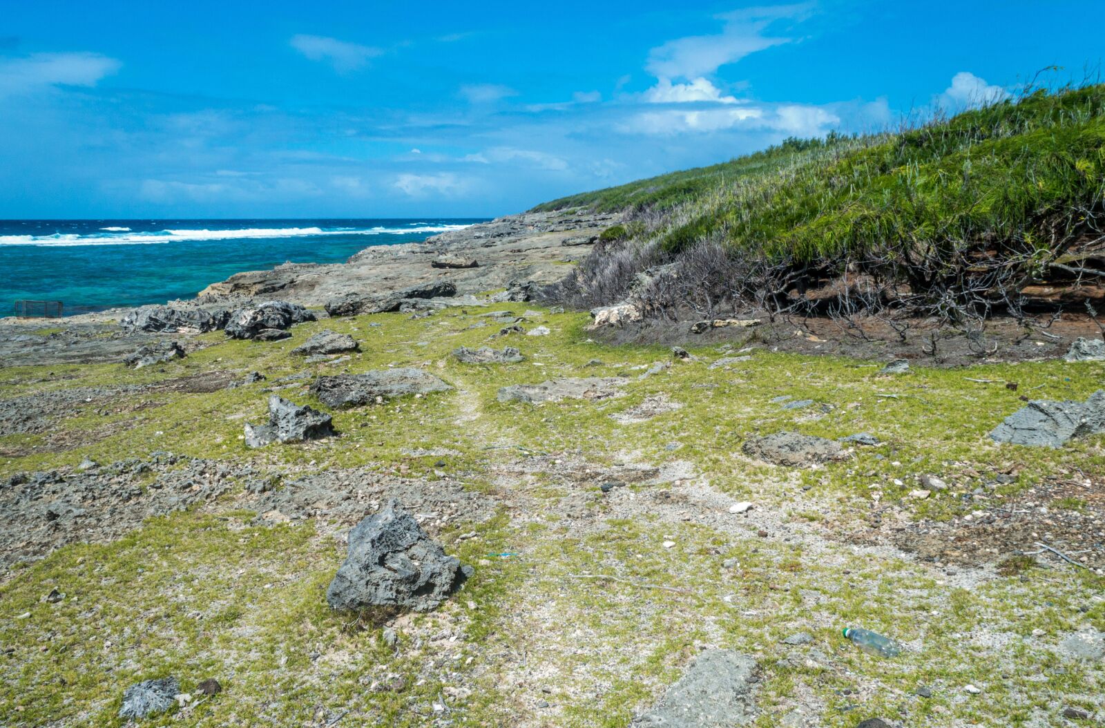 Nikon D3200 sample photo. Sea, seashore, coral photography