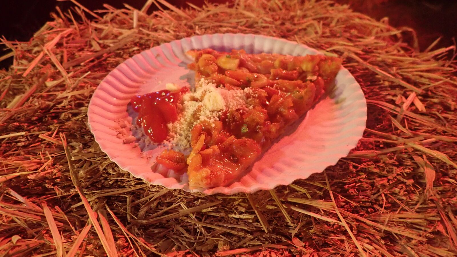 Olympus TG-5 sample photo. Pizza, dish, straw photography