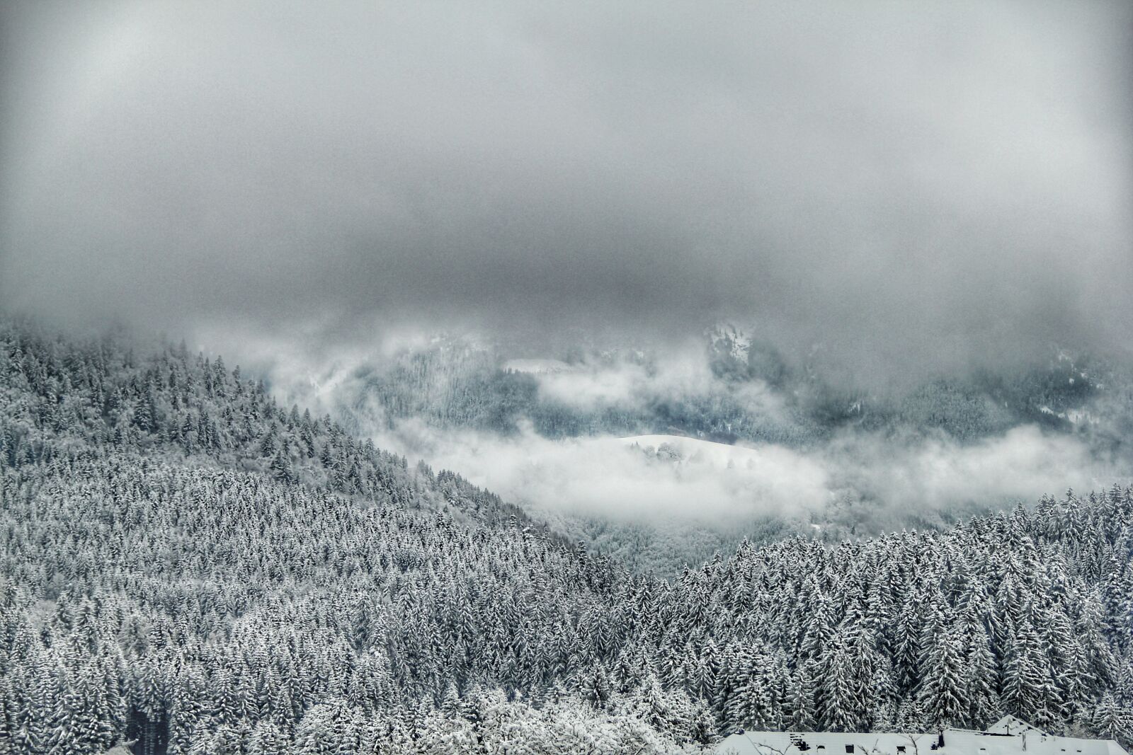 Canon EOS 60D sample photo. Clouds, cloudy, sky, forest photography