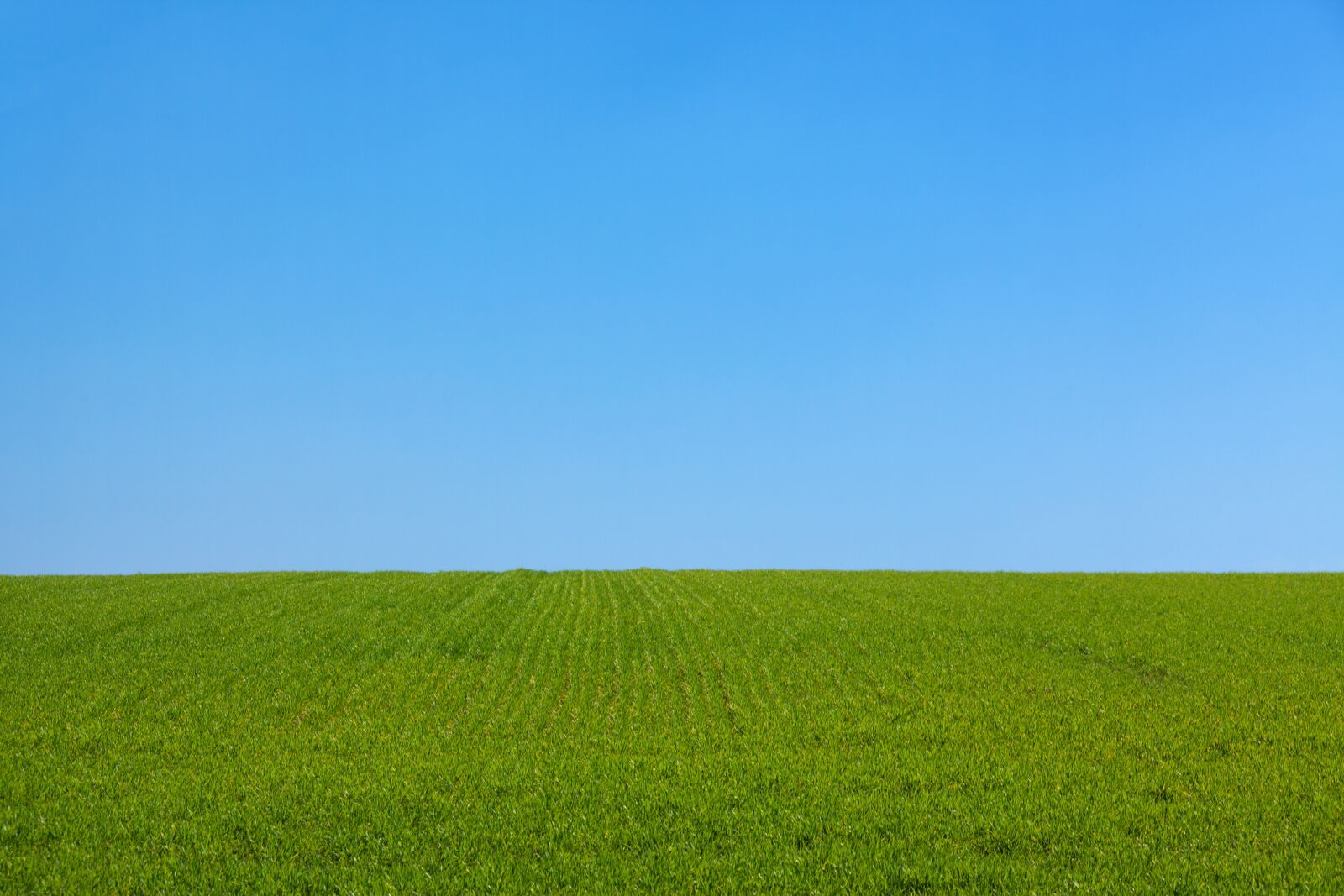 Canon EOS 5D Mark II sample photo. Landscape, nature, sky, space photography
