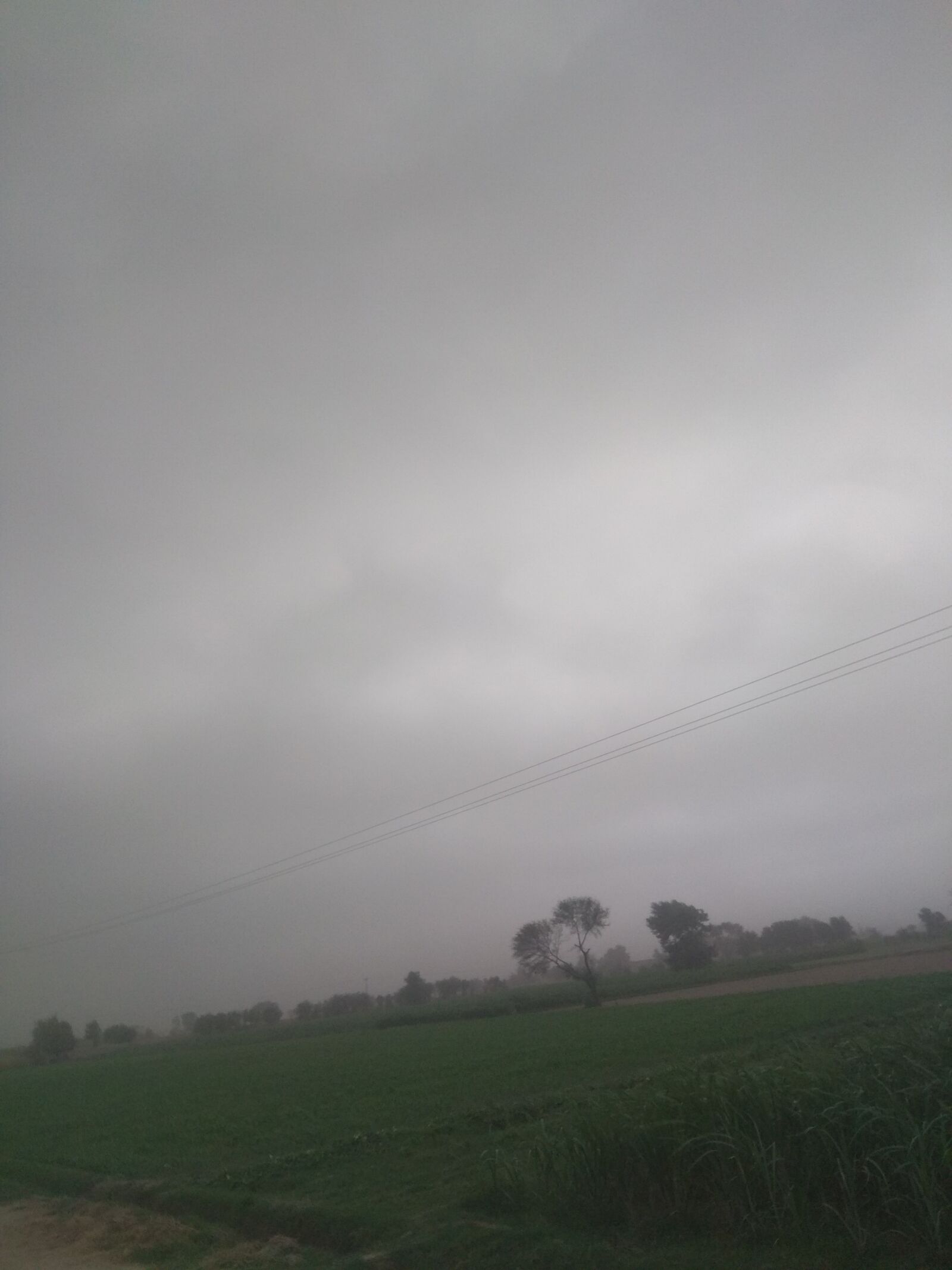 Xiaomi Redmi Note 4 sample photo. Dark weather, dense weather photography