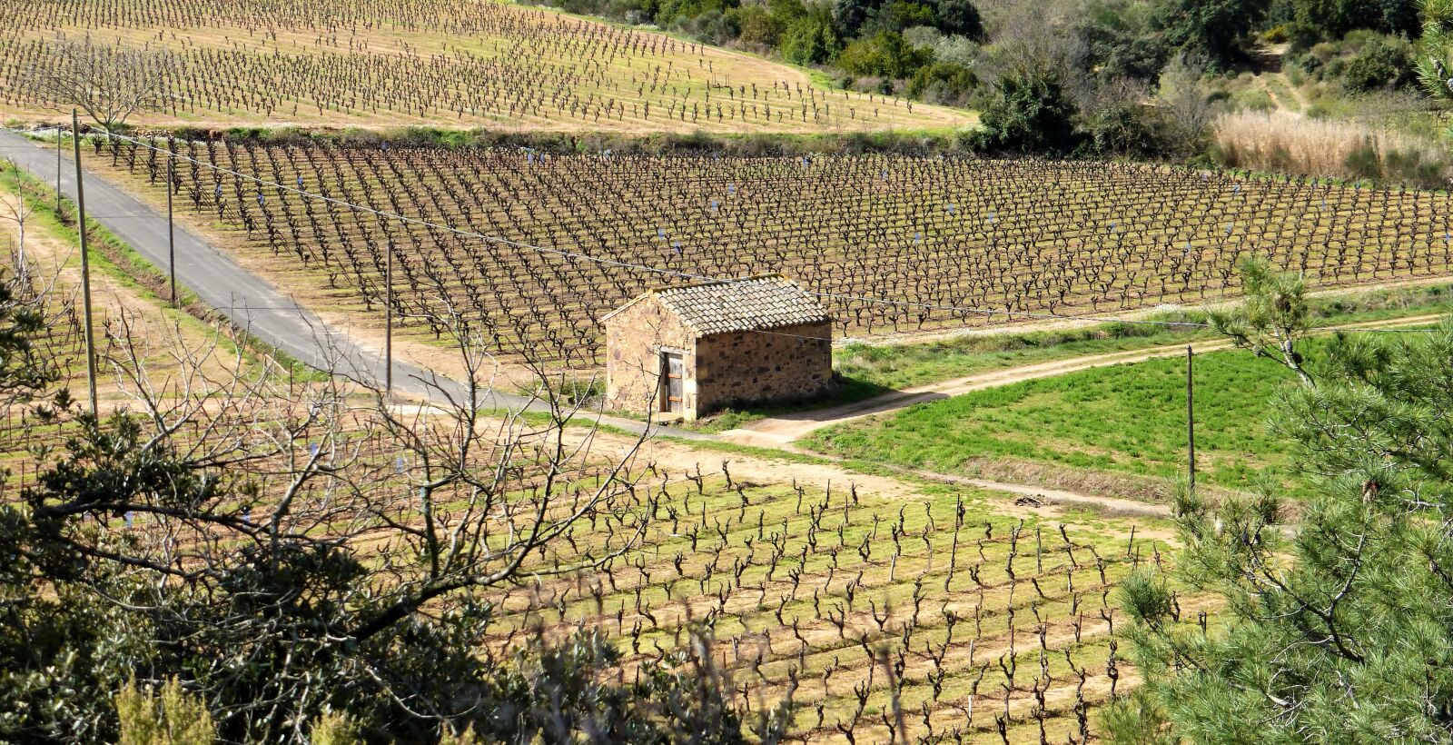 Panasonic Lumix DMC-ZS25 (Lumix DMC-TZ35) sample photo. Nature, france, aude photography