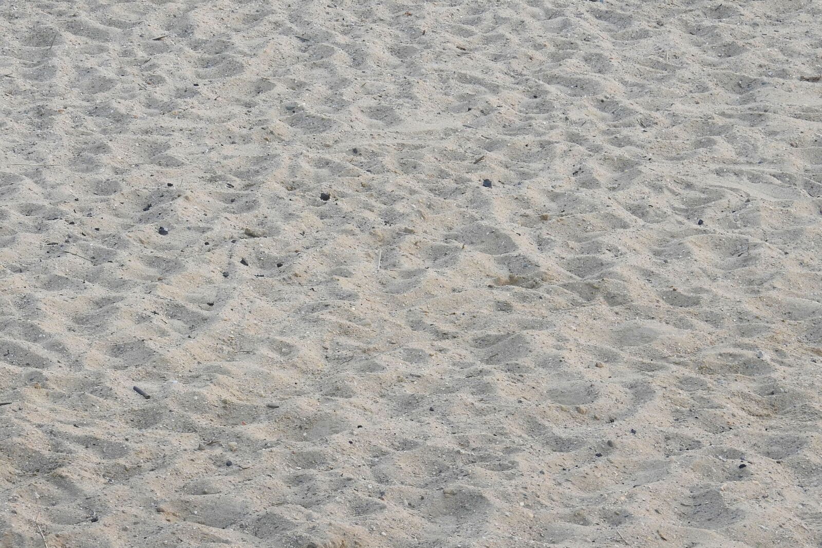 Nikon Coolpix P900 sample photo. Sand, sand beach, pebble photography