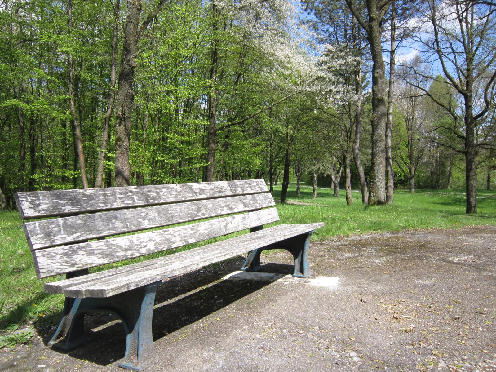 Canon PowerShot A3200 IS sample photo. Bank, wooden bench, spring photography