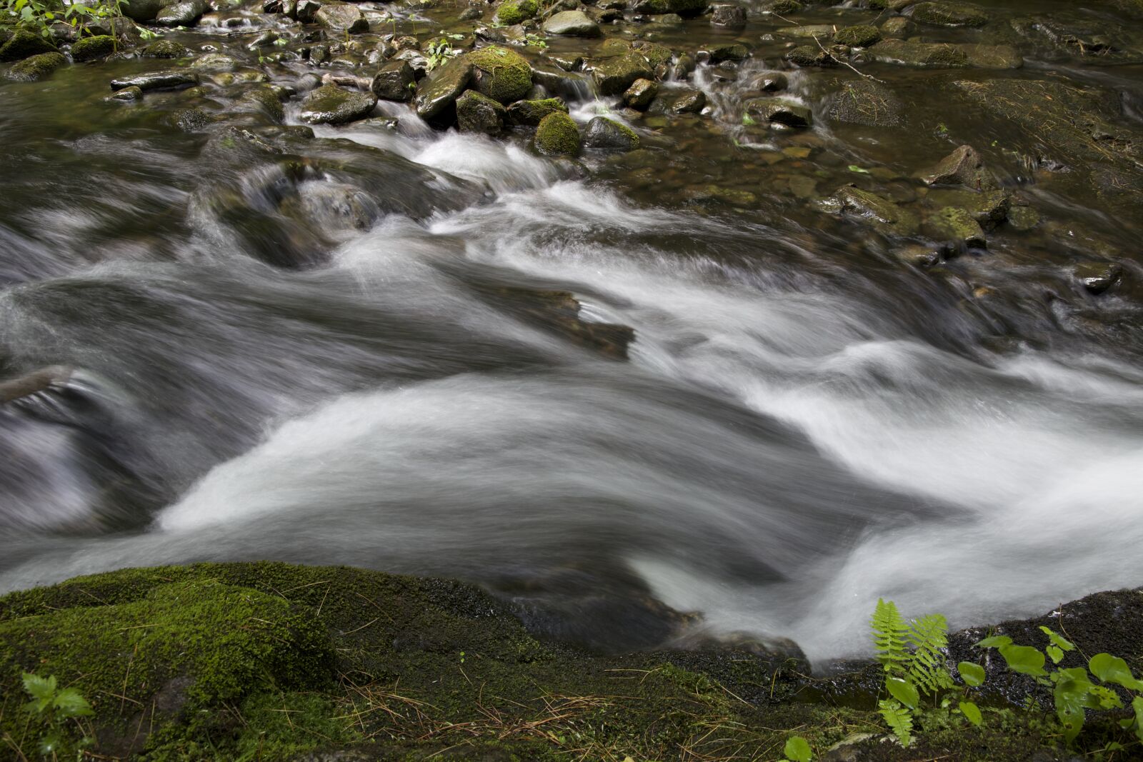 Canon EF 24-105mm F3.5-5.6 IS STM sample photo. Water, rocks, river, nature photography