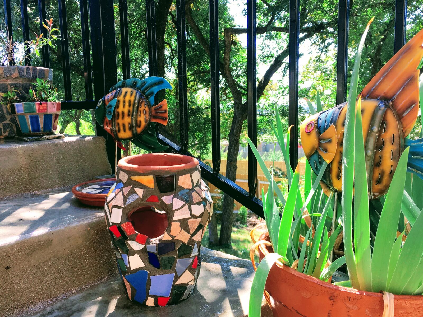 Apple iPhone 6s sample photo. Tile, flowerpot, plant photography
