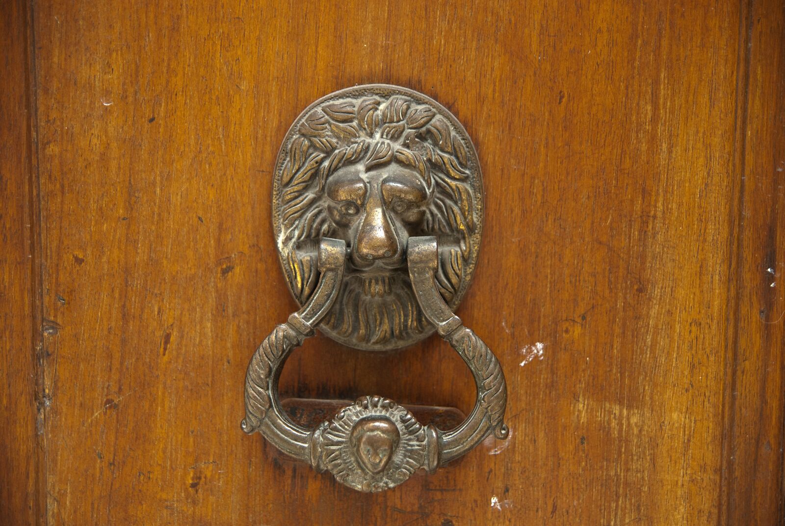 Nikon D200 sample photo. Doorknocker, vintage, door photography