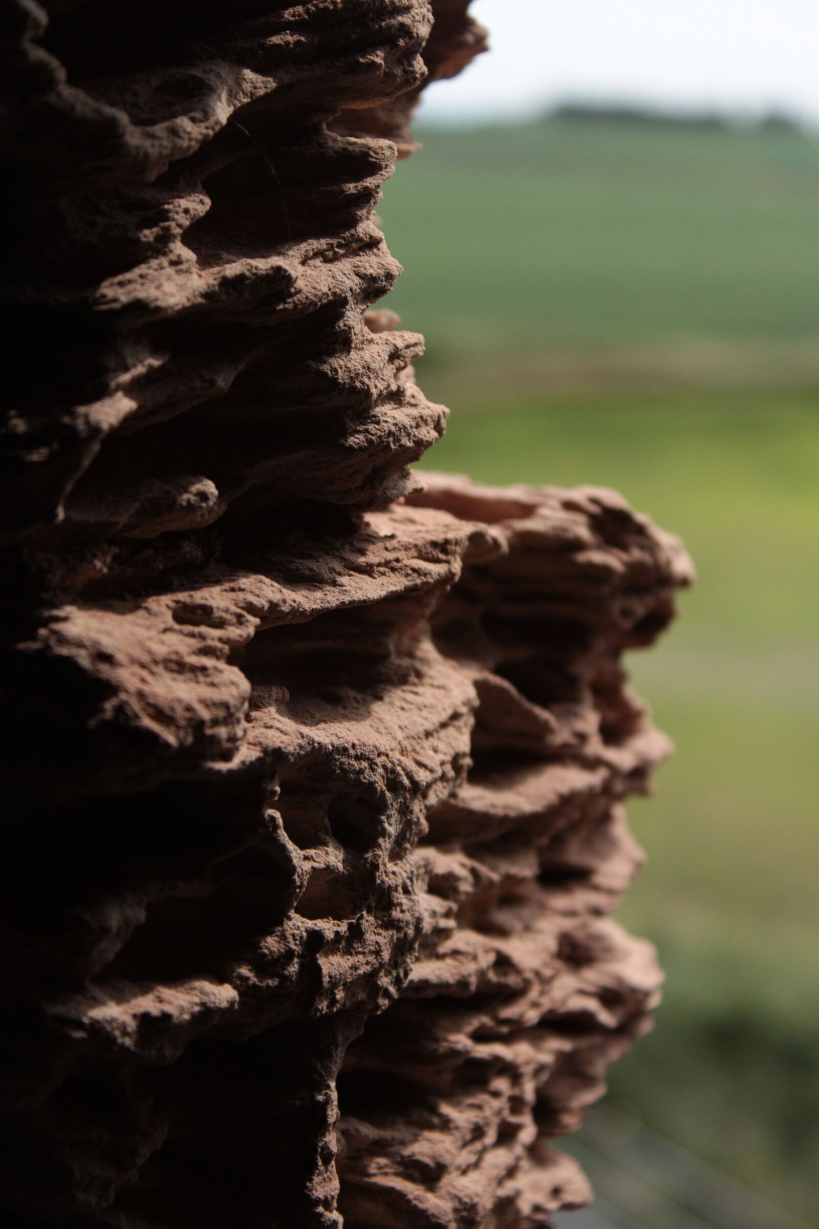 Canon EOS 500D (EOS Rebel T1i / EOS Kiss X3) sample photo. Brick, stone, formation photography