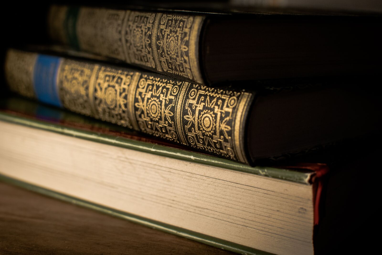 Nikon D3300 sample photo. Literature, library, wisdom photography