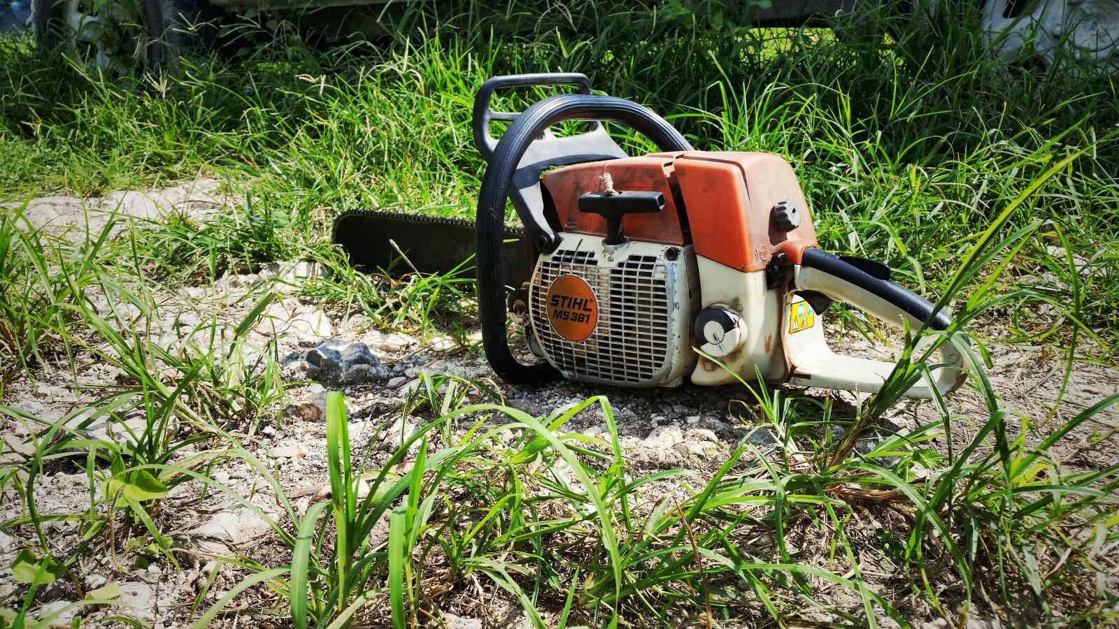 Samsung Galaxy S5 sample photo. Stihl, ms381, chainsaw photography