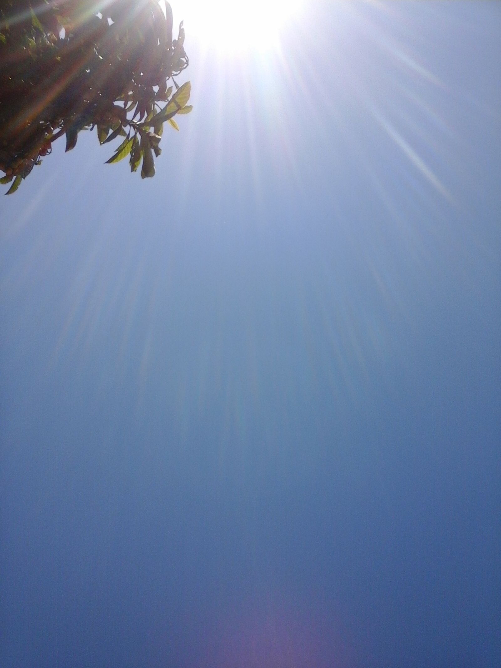 Samsung Galaxy Trend Lite sample photo. Sky, sun, summer photography