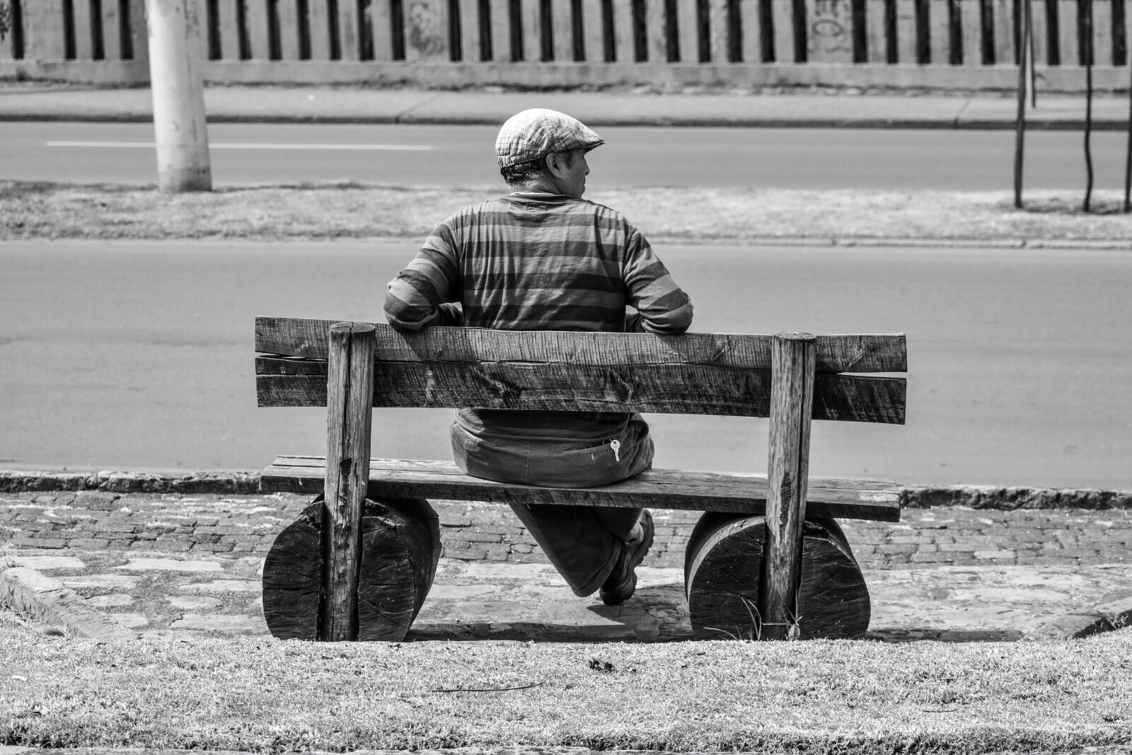 Nikon D3400 sample photo. Bank, park, resting photography