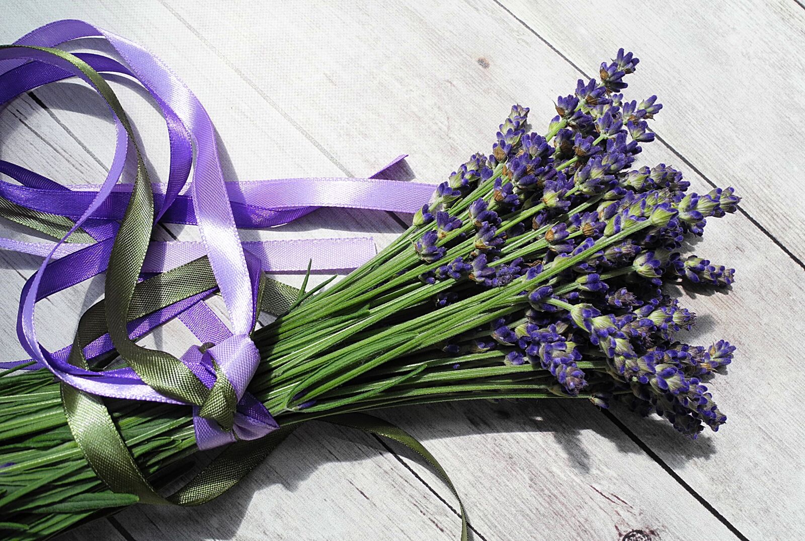 Nikon Coolpix P7000 sample photo. Lavender, flower, purple photography