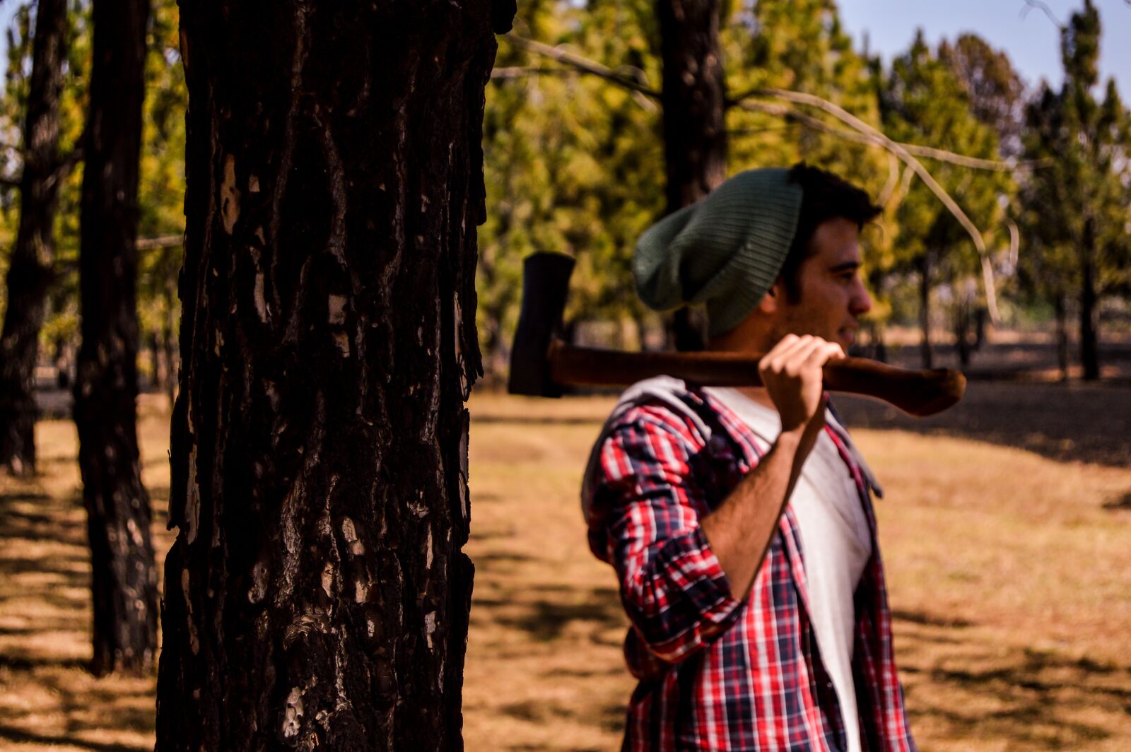 Nikon D3200 sample photo. Wood, axe, lumberjack photography
