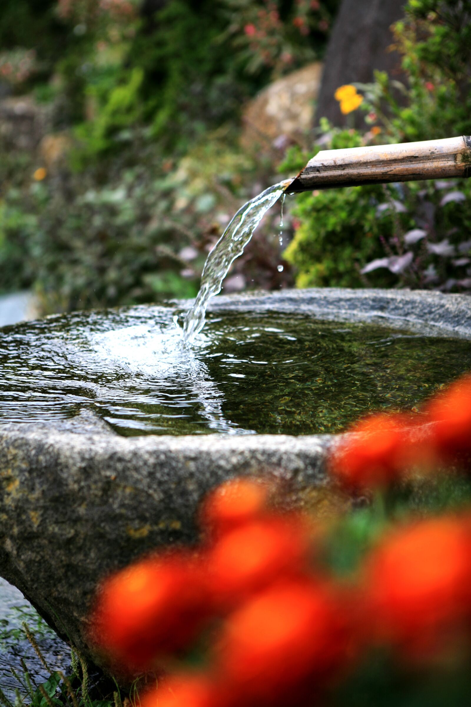 Canon EOS 5D sample photo. Gutter, ong reach glands photography