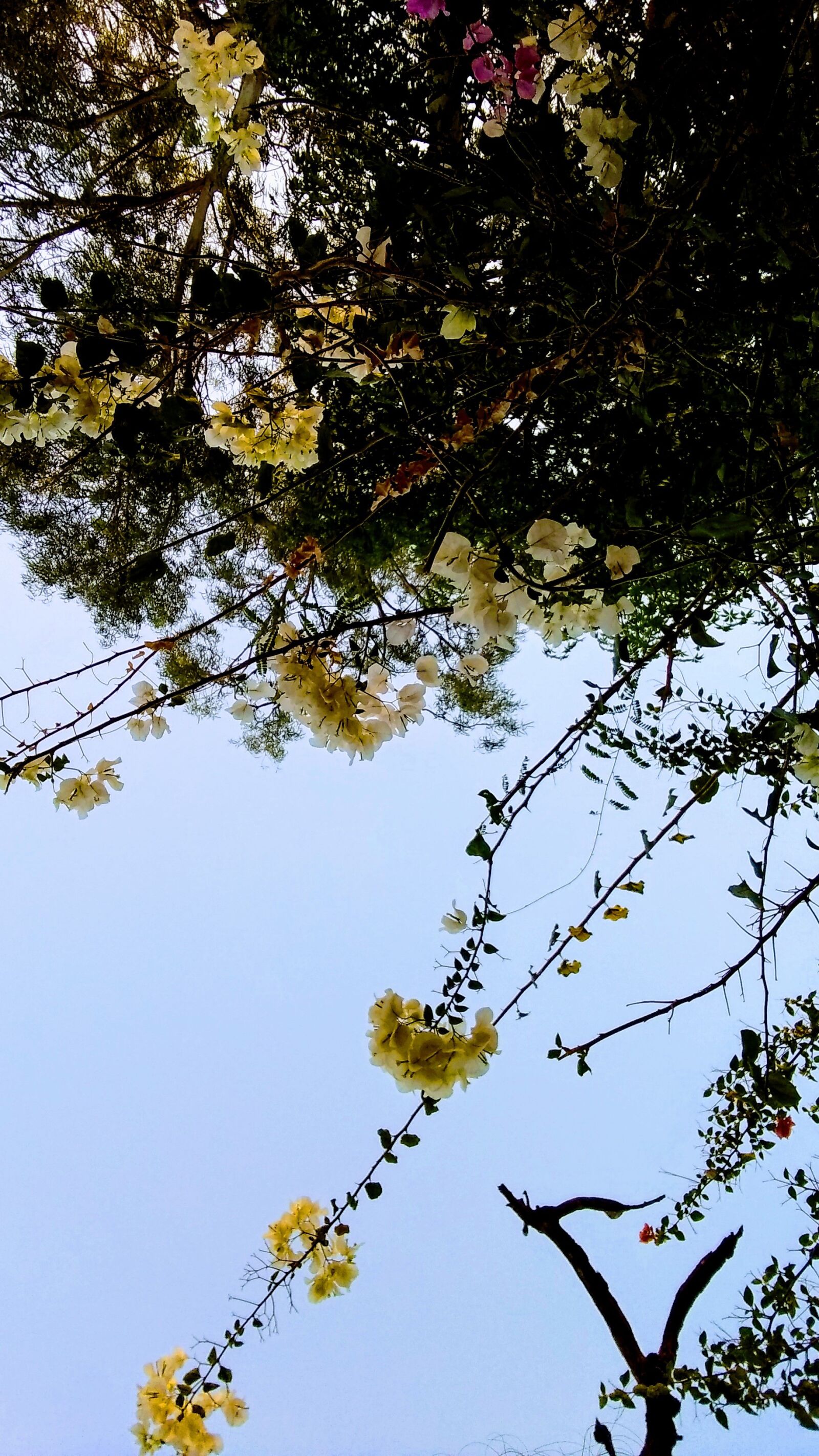 Motorola Moto G (5S) Plus sample photo. Sunset, sky, nature photography
