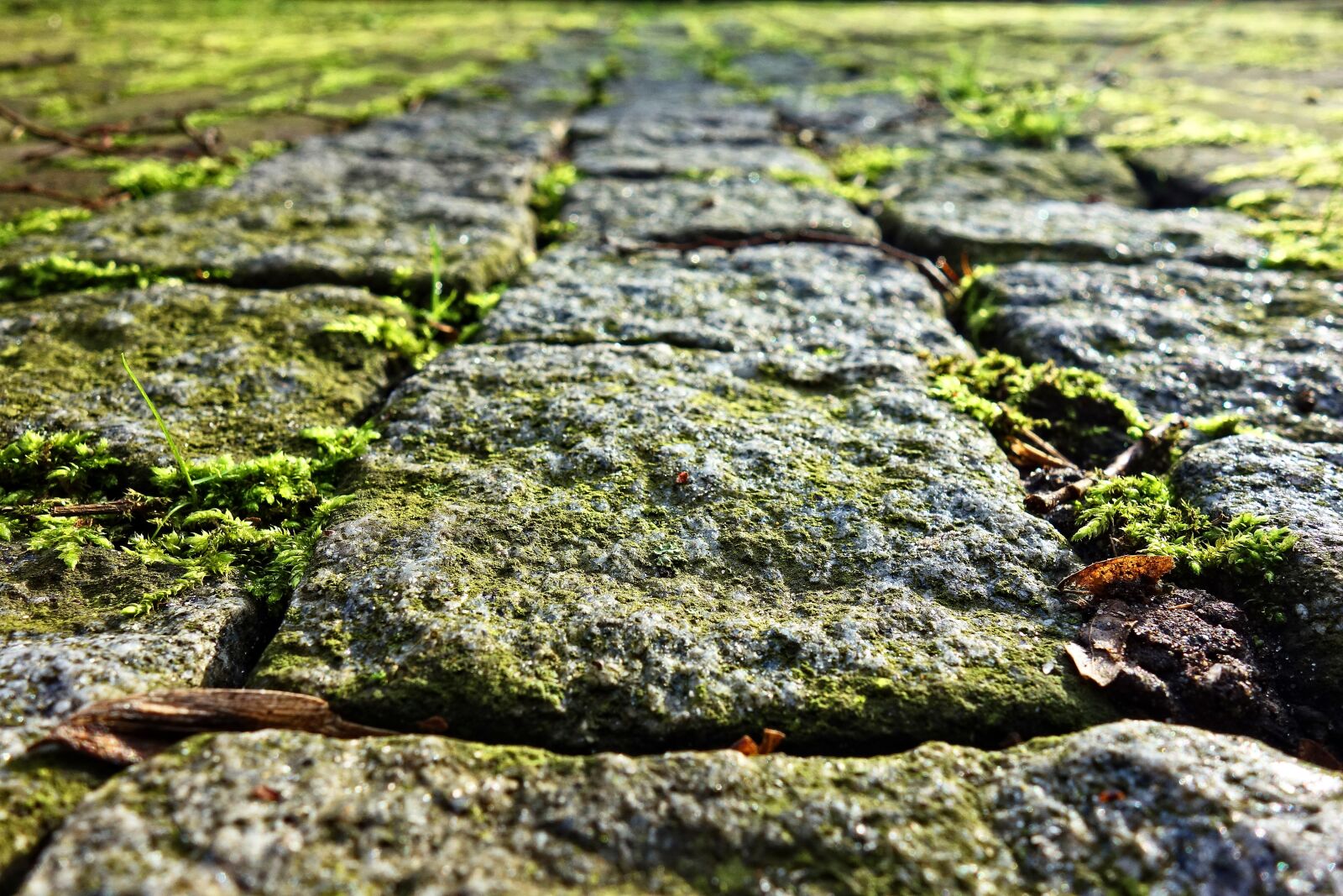 Sony Cyber-shot DSC-RX100 sample photo. Cobble stone, cobble, stone photography