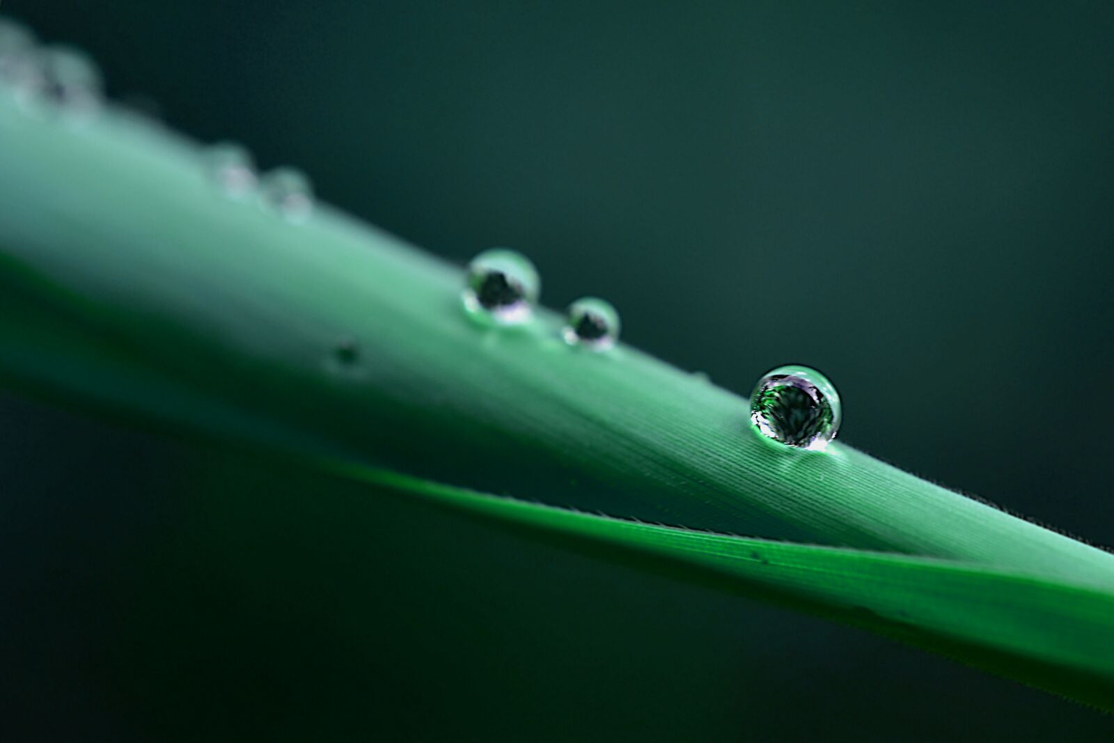 Nikon D7200 sample photo. Abstract, advertising, announcement photography