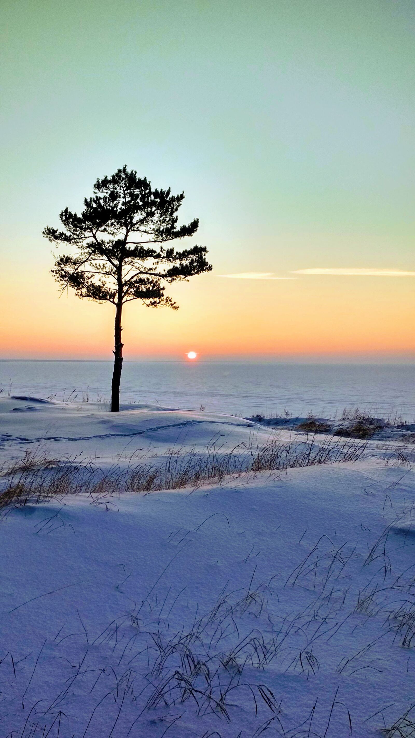 Xiaomi Redmi 4X sample photo. Winter, sun, snow photography