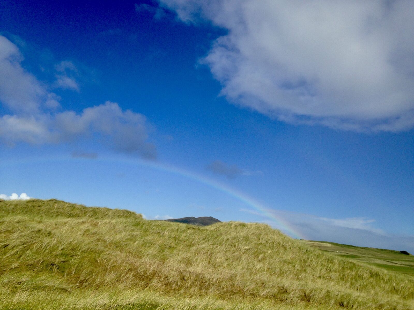 iPhone 5c back camera 4.12mm f/2.4 sample photo. Rainbow, over, golf photography