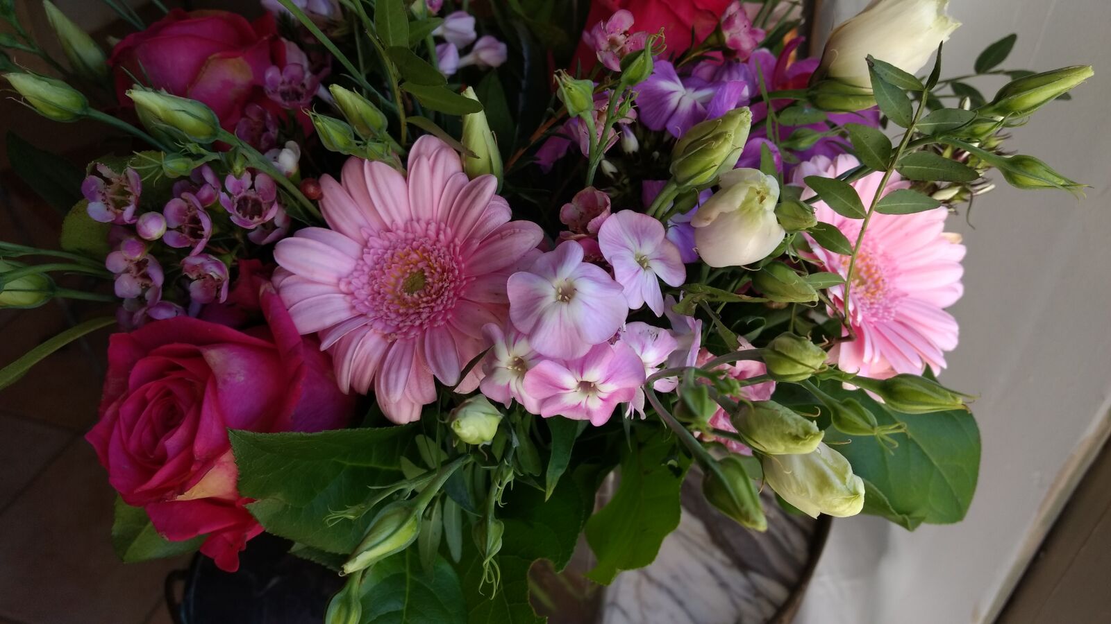 Motorola Moto G (4) sample photo. Flower, flora, nature photography