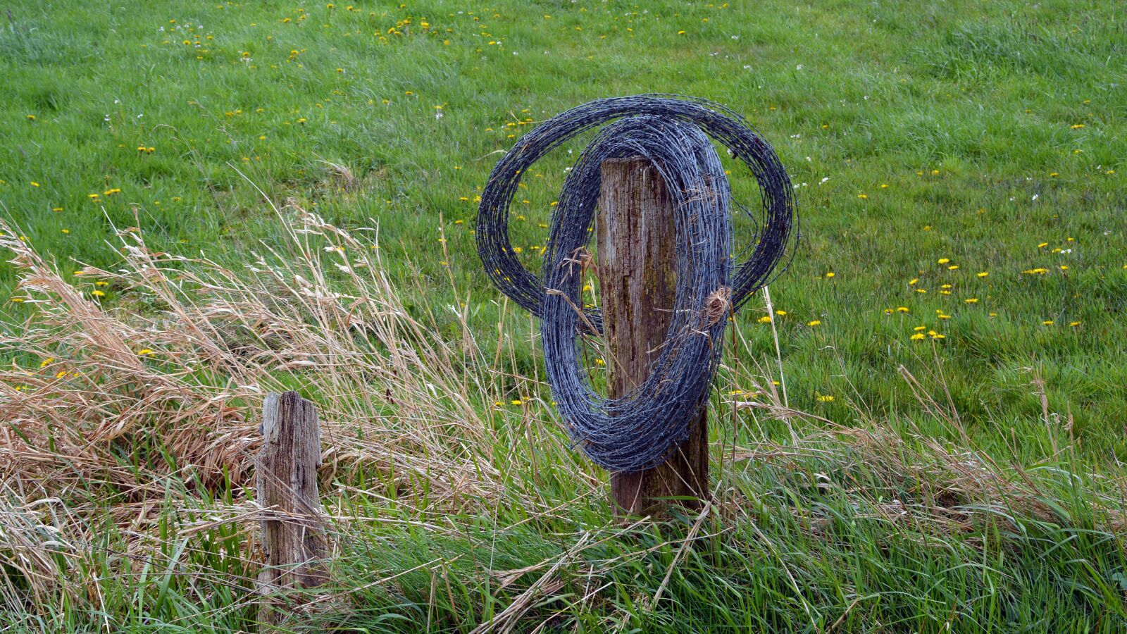 Nikon D5200 sample photo. Pasture fence, barbed wire photography