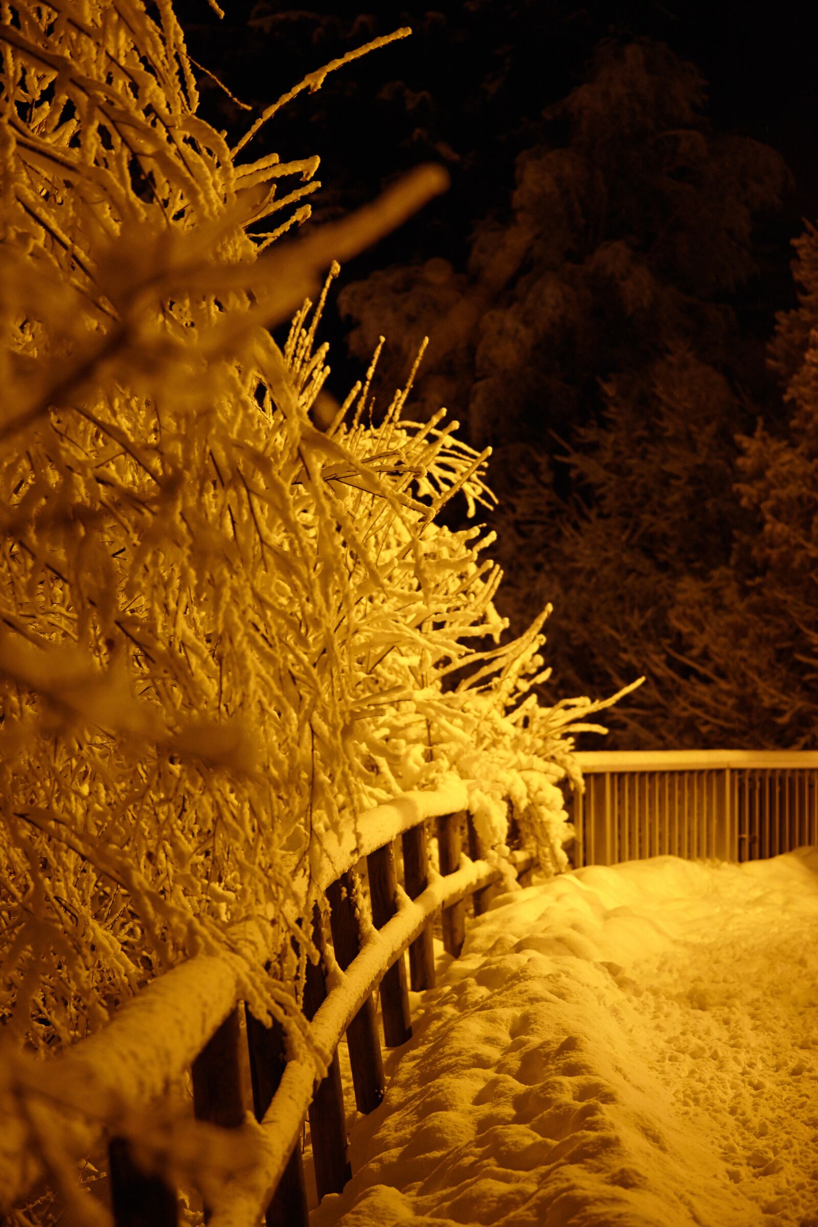 Canon EOS 5D Mark II sample photo. Chamonix, winter, snowfall photography