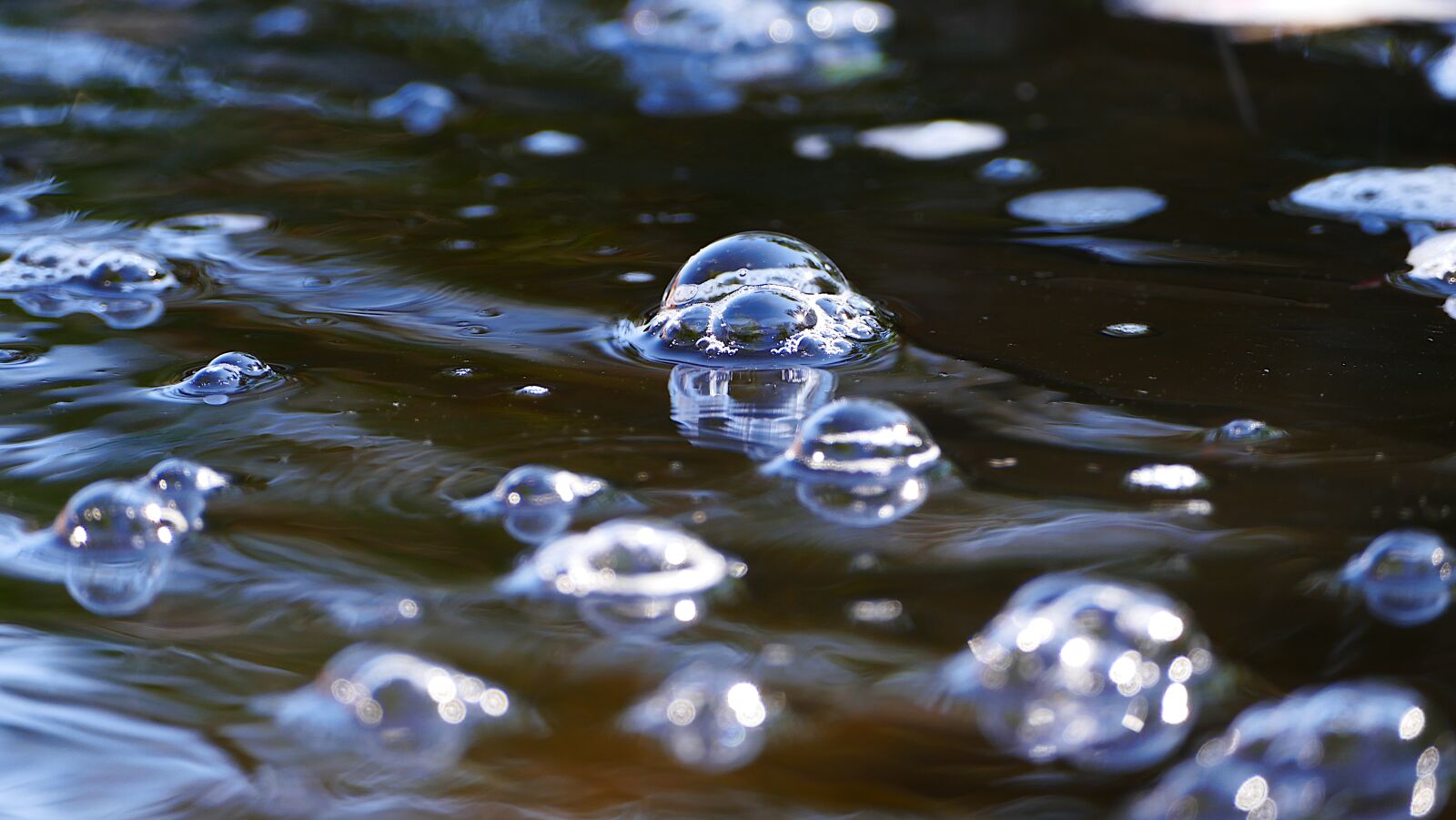 Panasonic Lumix DMC-FZ1000 sample photo. Water, bubble, relax photography