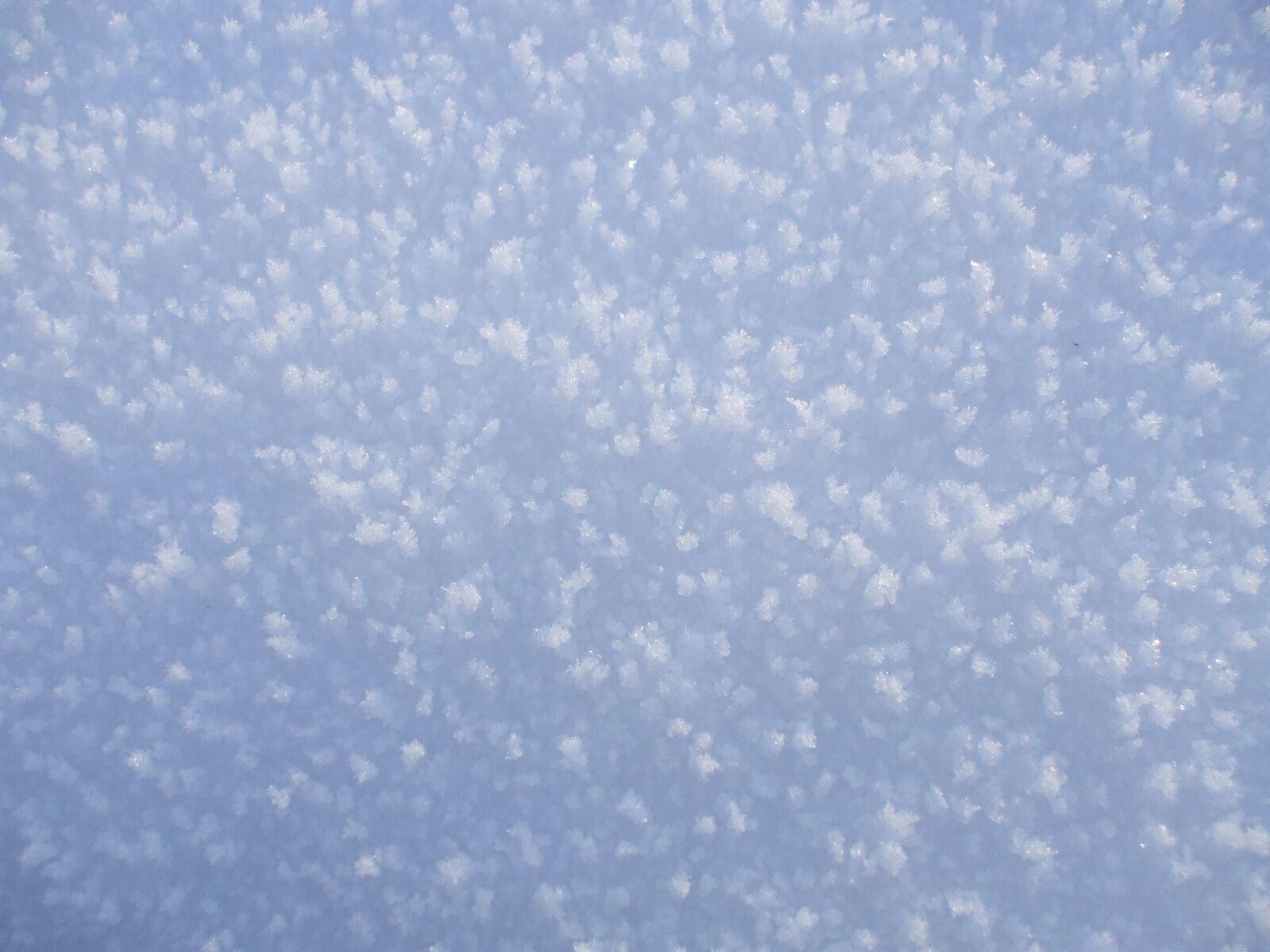 Fujifilm FinePix A800 sample photo. Snow crystals, snow, frozen photography