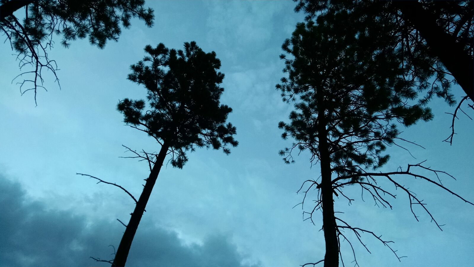 Motorola XT1080 sample photo