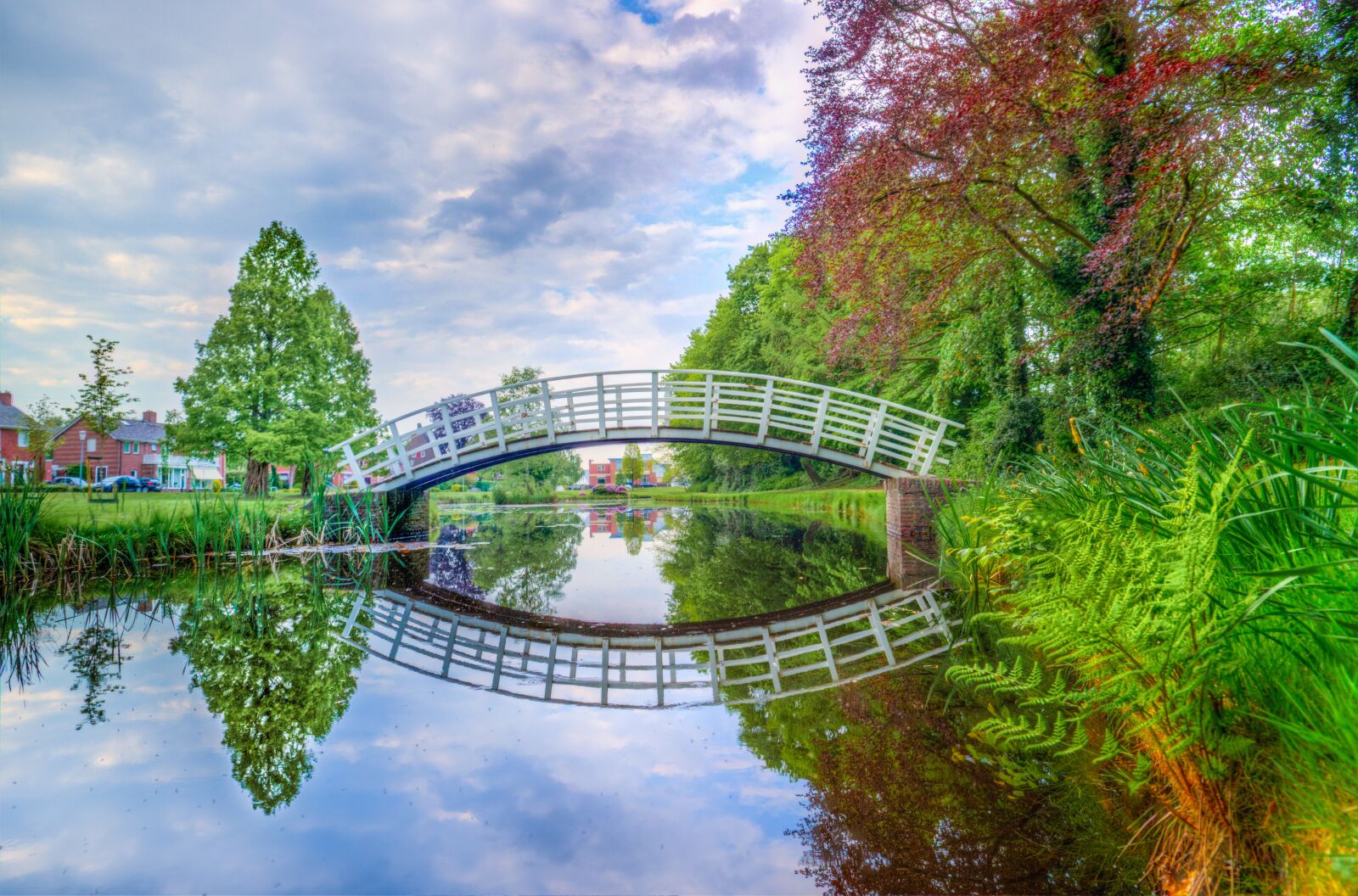 Nikon D610 sample photo. Park, bridge, reflection photography
