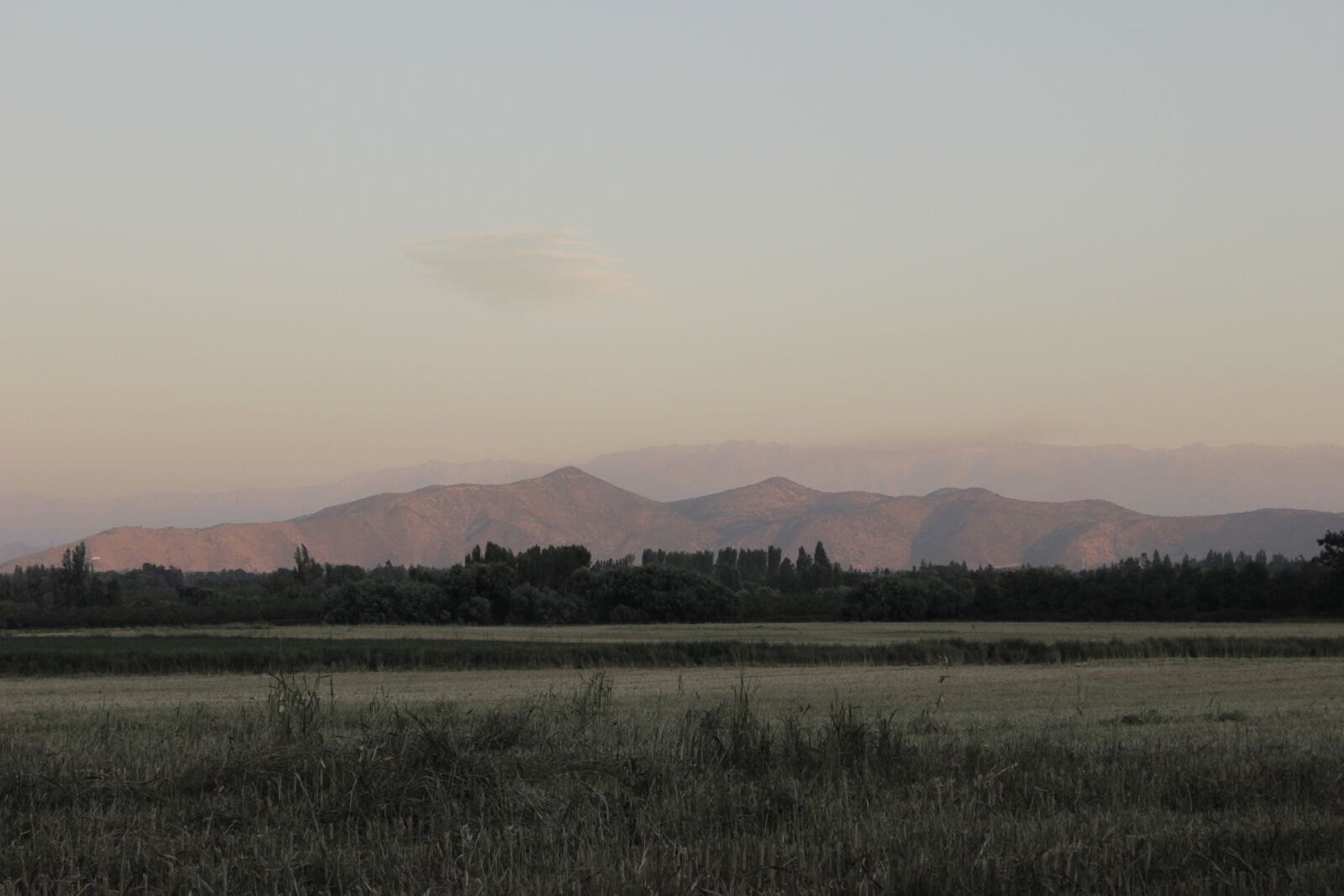 Canon EOS 600D (Rebel EOS T3i / EOS Kiss X5) sample photo. Park, field, open air photography