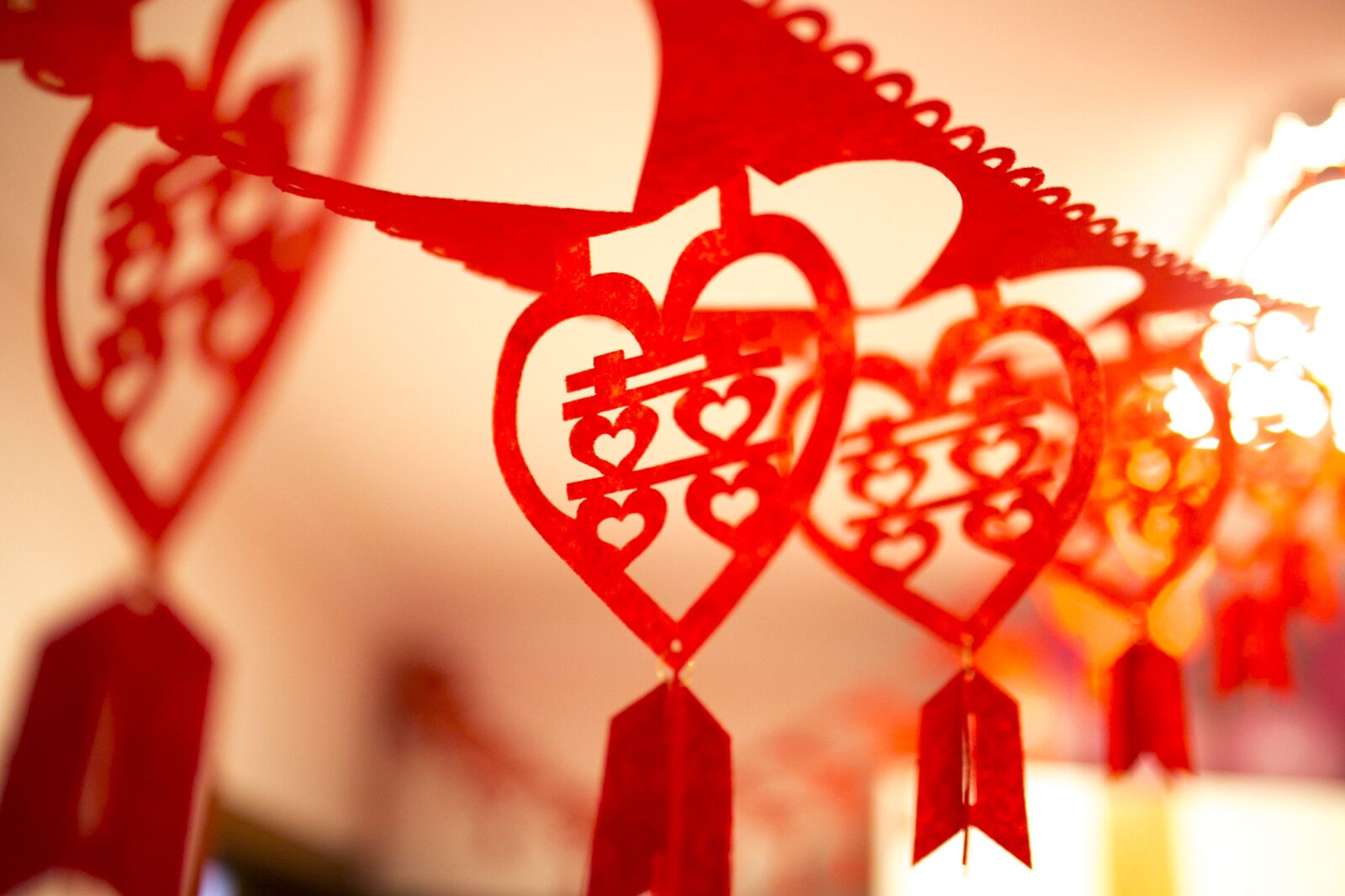 Canon EOS 6D sample photo. Double happiness word, hi photography