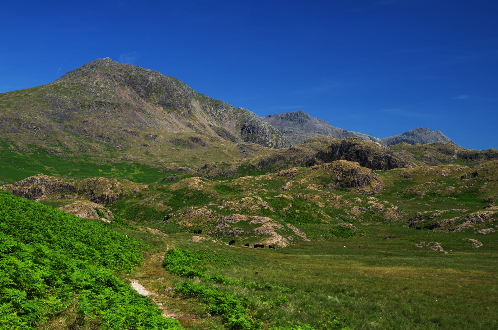 Pentax K-30 sample photo. Eskdale, scafell, hills photography