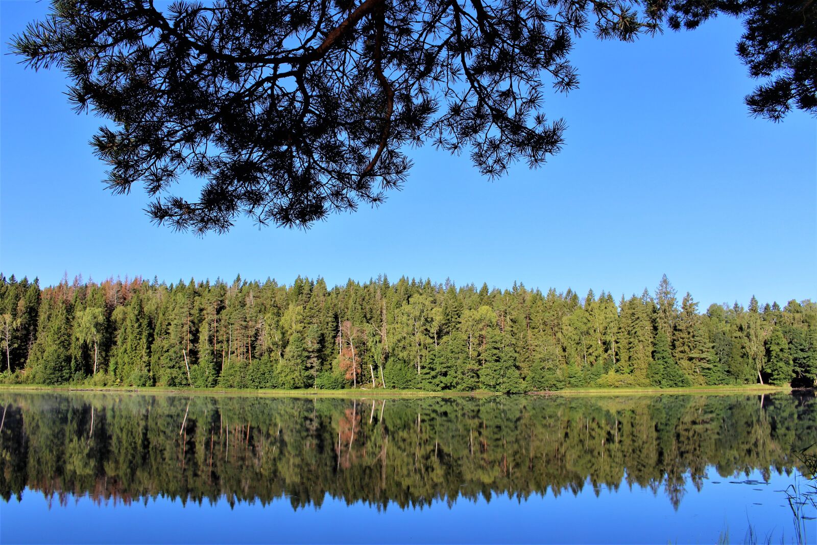 Canon EOS 700D (EOS Rebel T5i / EOS Kiss X7i) sample photo. Lake, nature, water photography