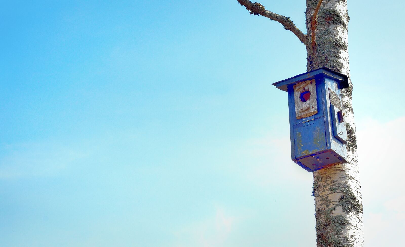 Nikon D800 sample photo. Birdcage, bird's nest, tiny photography