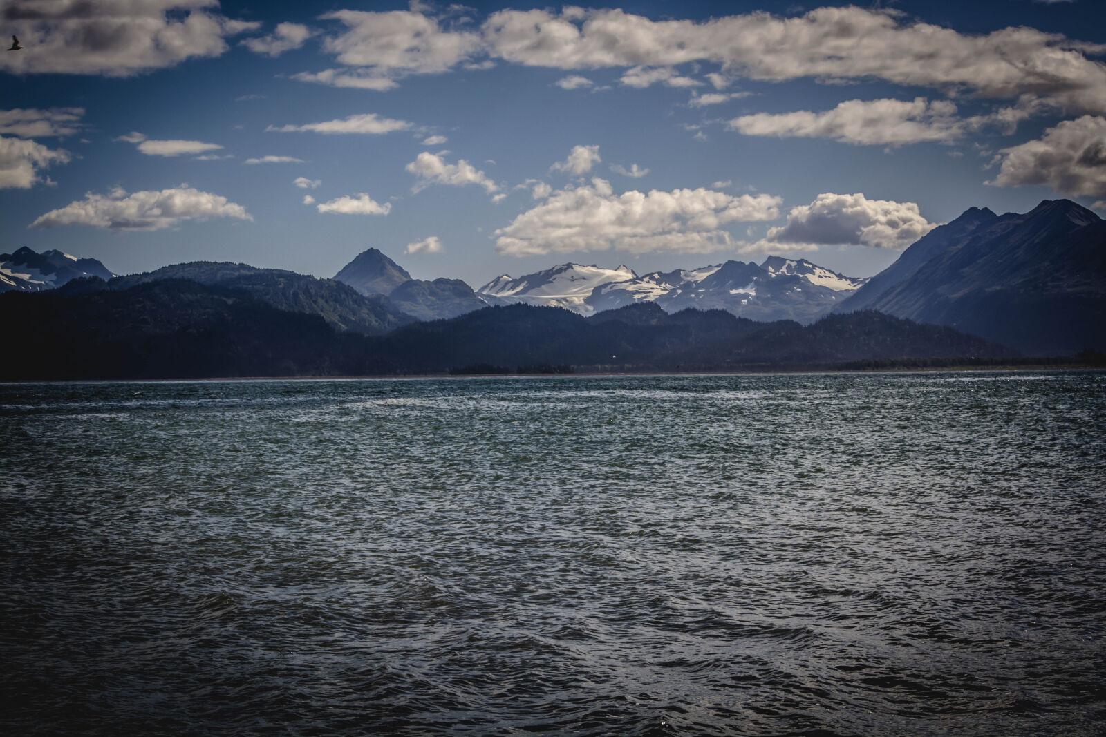 Nikon D5200 sample photo