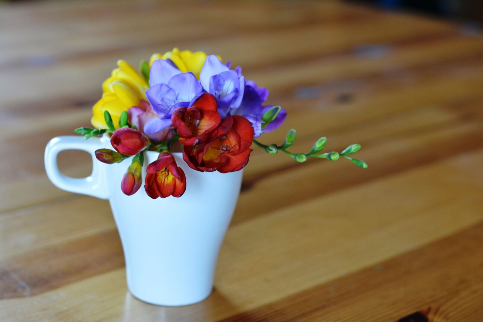 Nikon D5200 sample photo. Freesia, flowers, fragrant photography