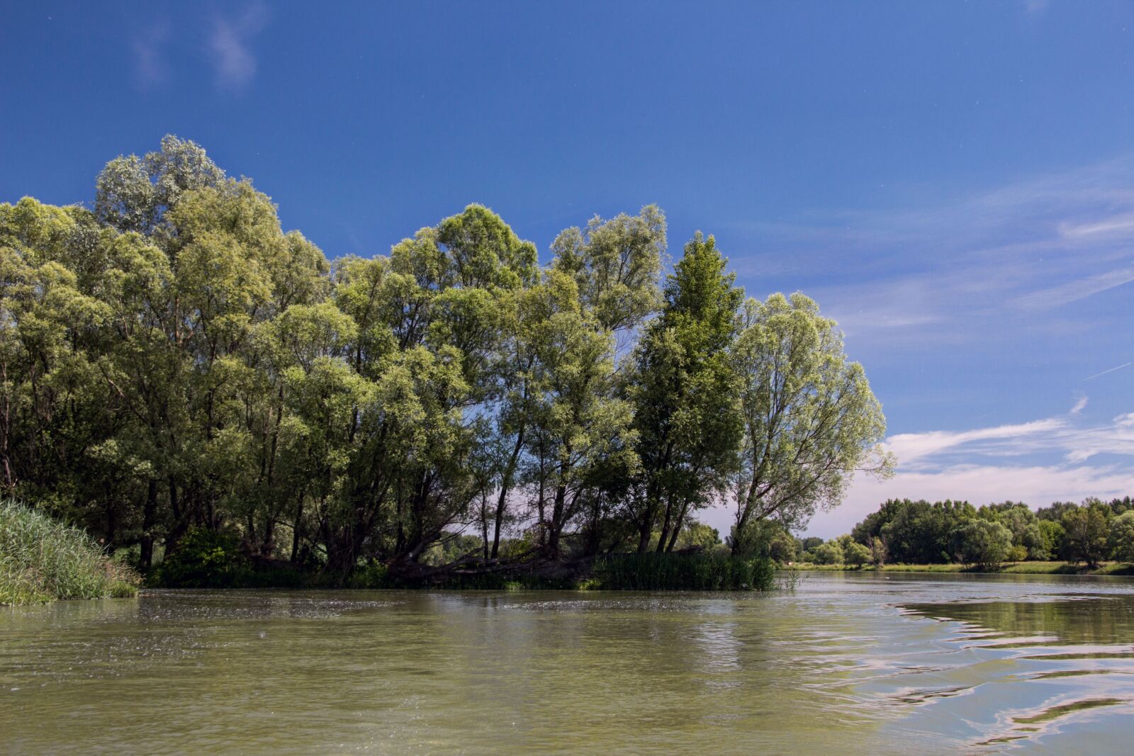 Canon EOS 600D (Rebel EOS T3i / EOS Kiss X5) sample photo. Danube, slovakia, nature photography