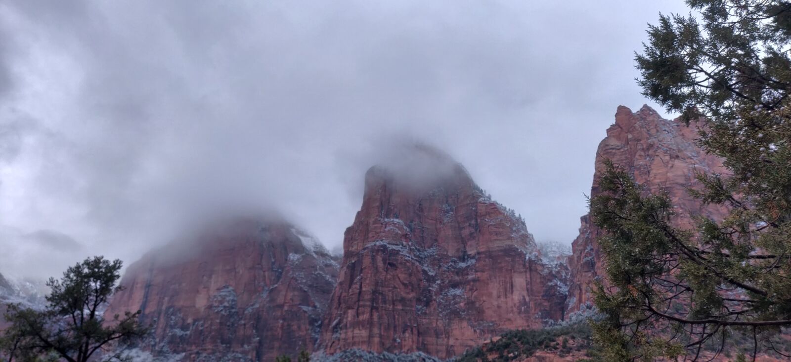 OnePlus 6T sample photo. The patriarchs at zions photography