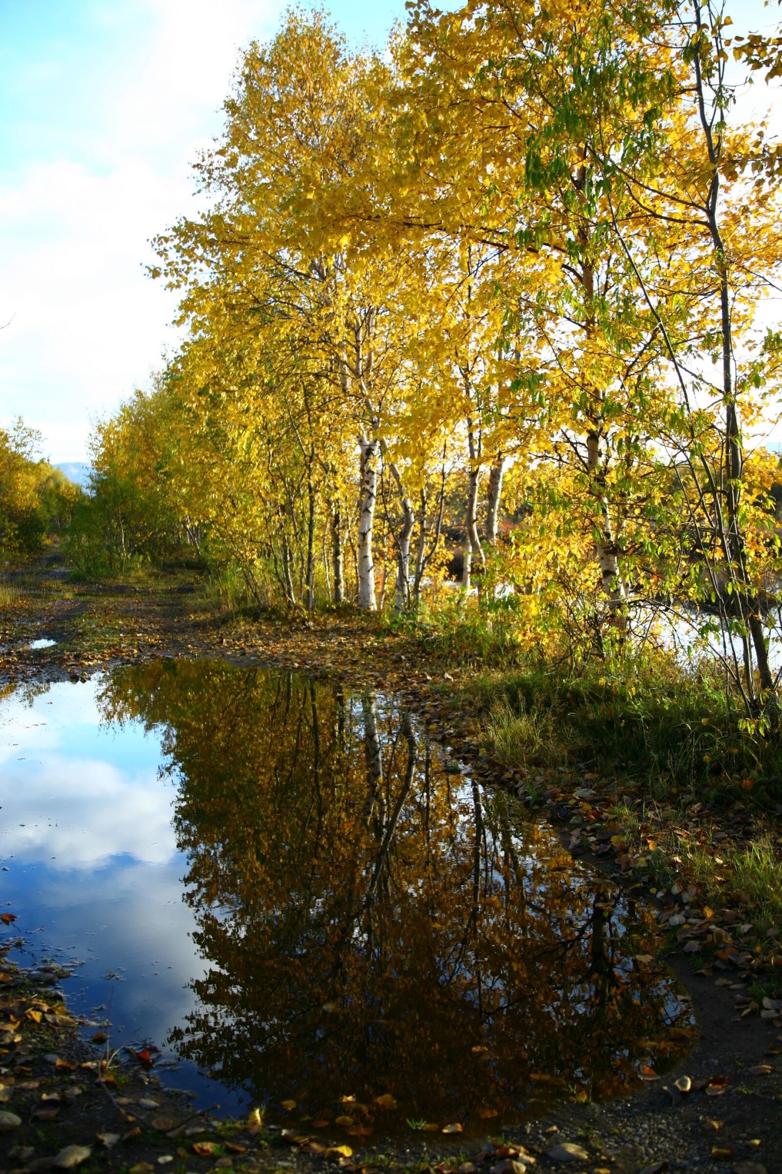 Canon EOS 5D sample photo. Autumn, forest, lake photography